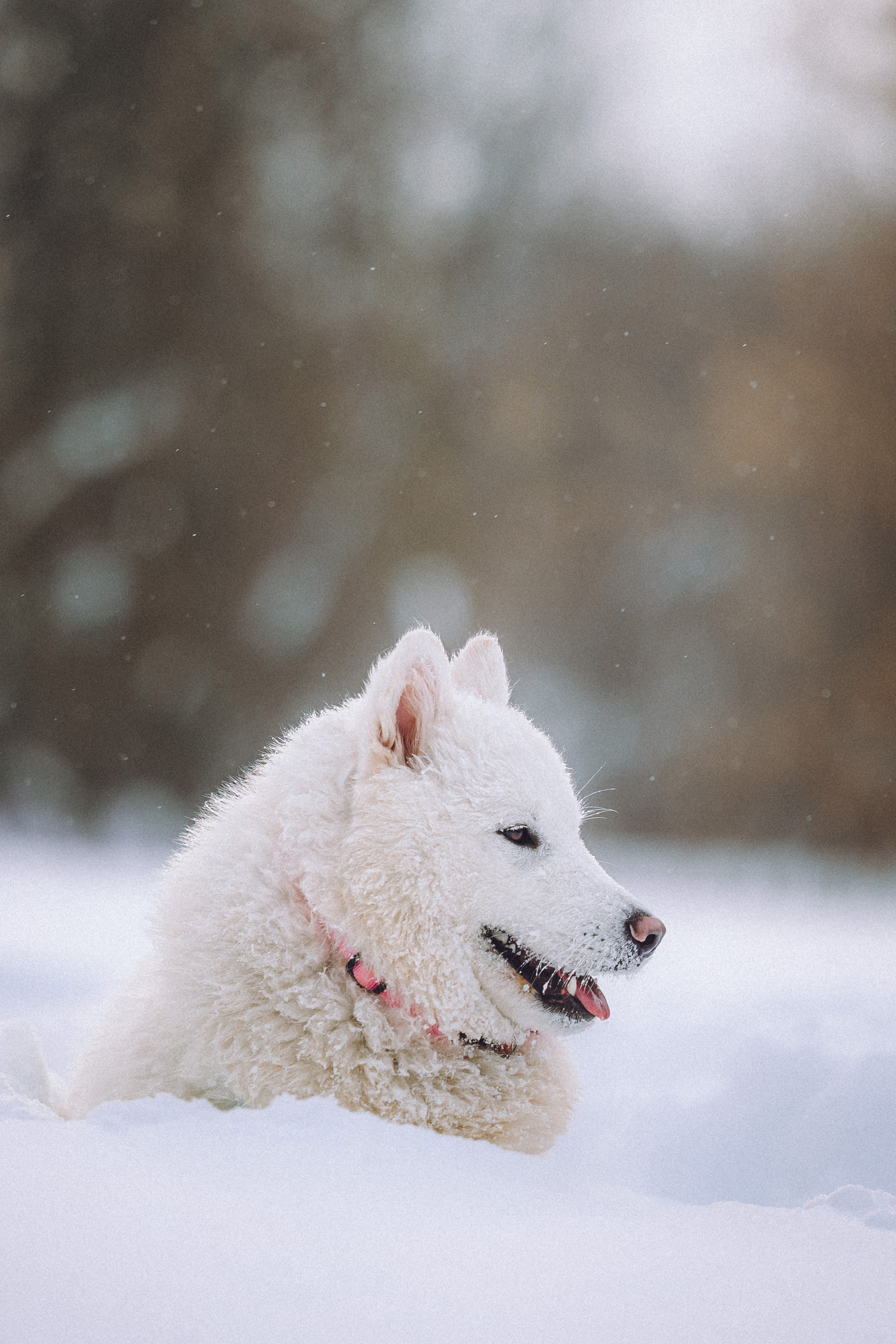 Мария и Мася