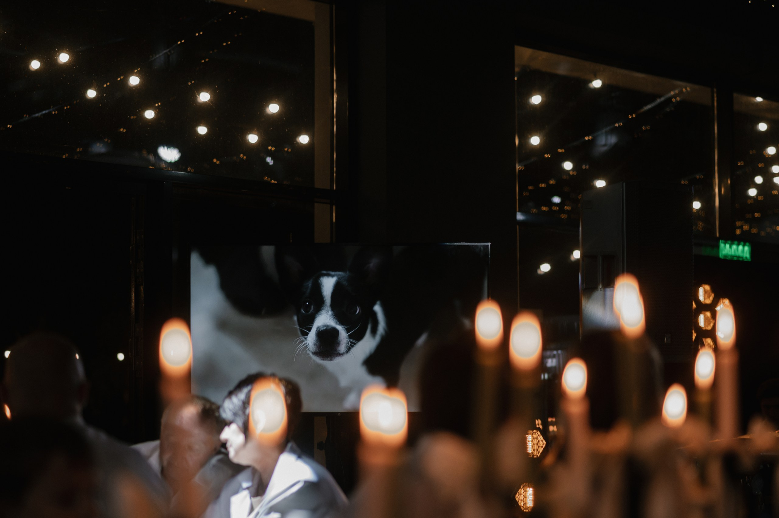 Любовная любовь. Свадебный фотограф Липецк, Елец