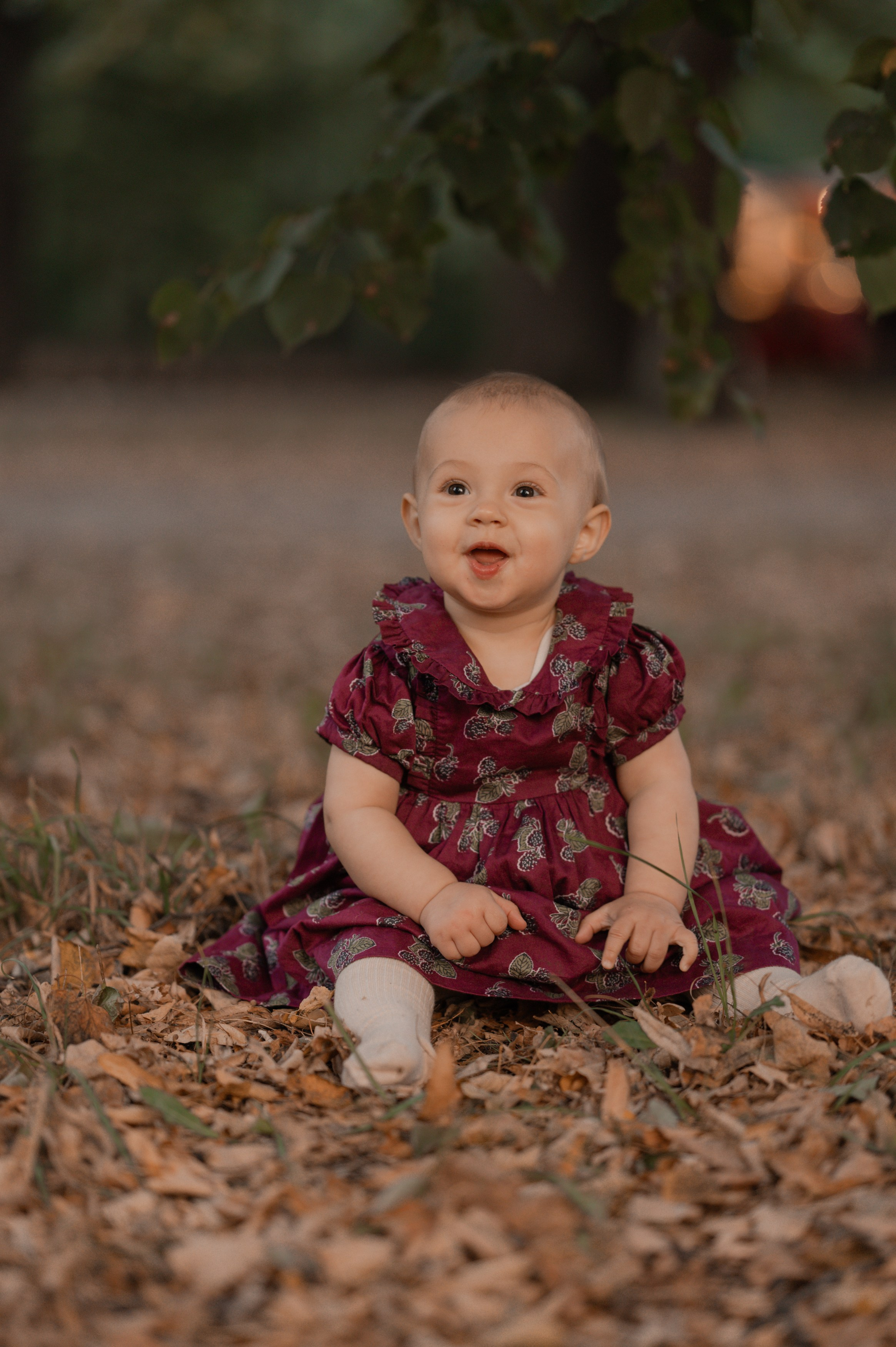 Осень. Фотограф Ким Ангелина