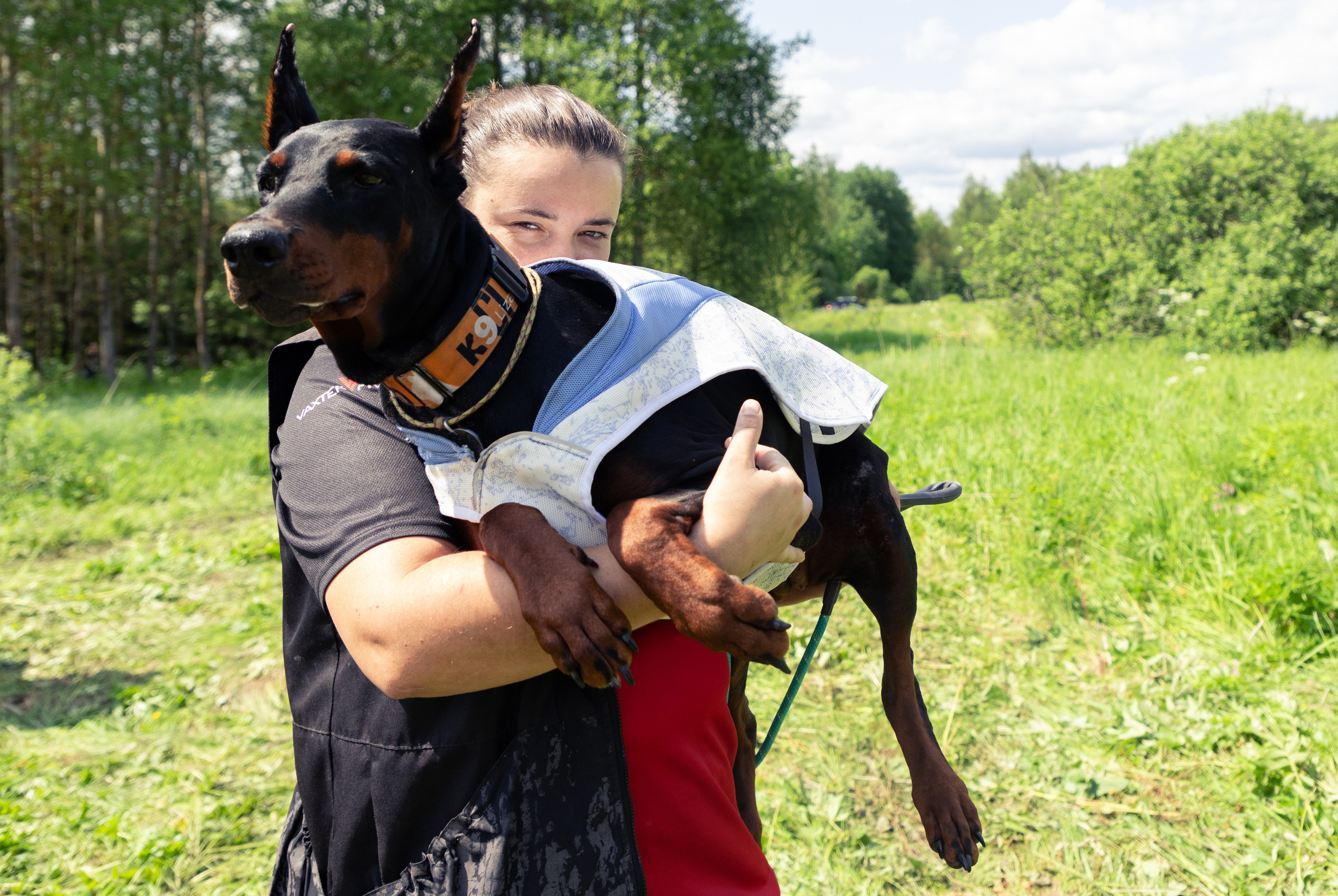 ДПСО «ЛизаАлерт». Главная
