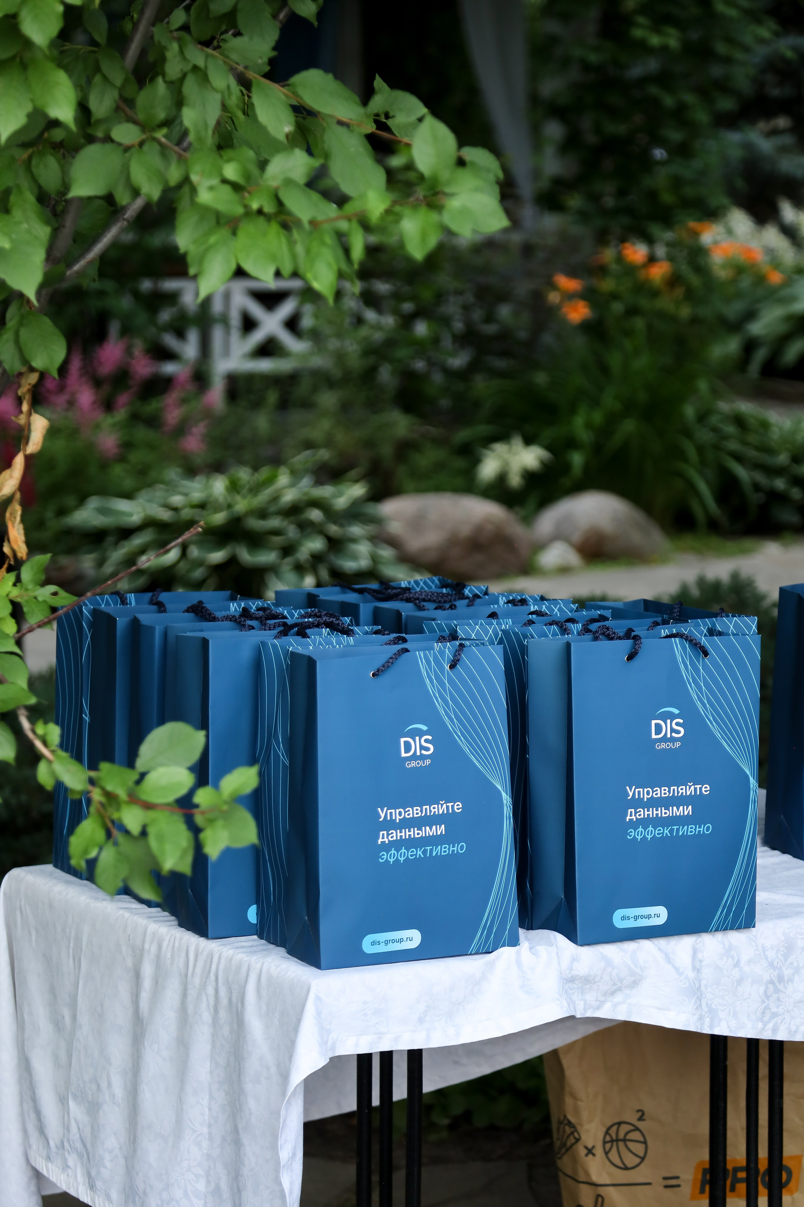 DIS регата2024. Фотограф Антон Чупринин