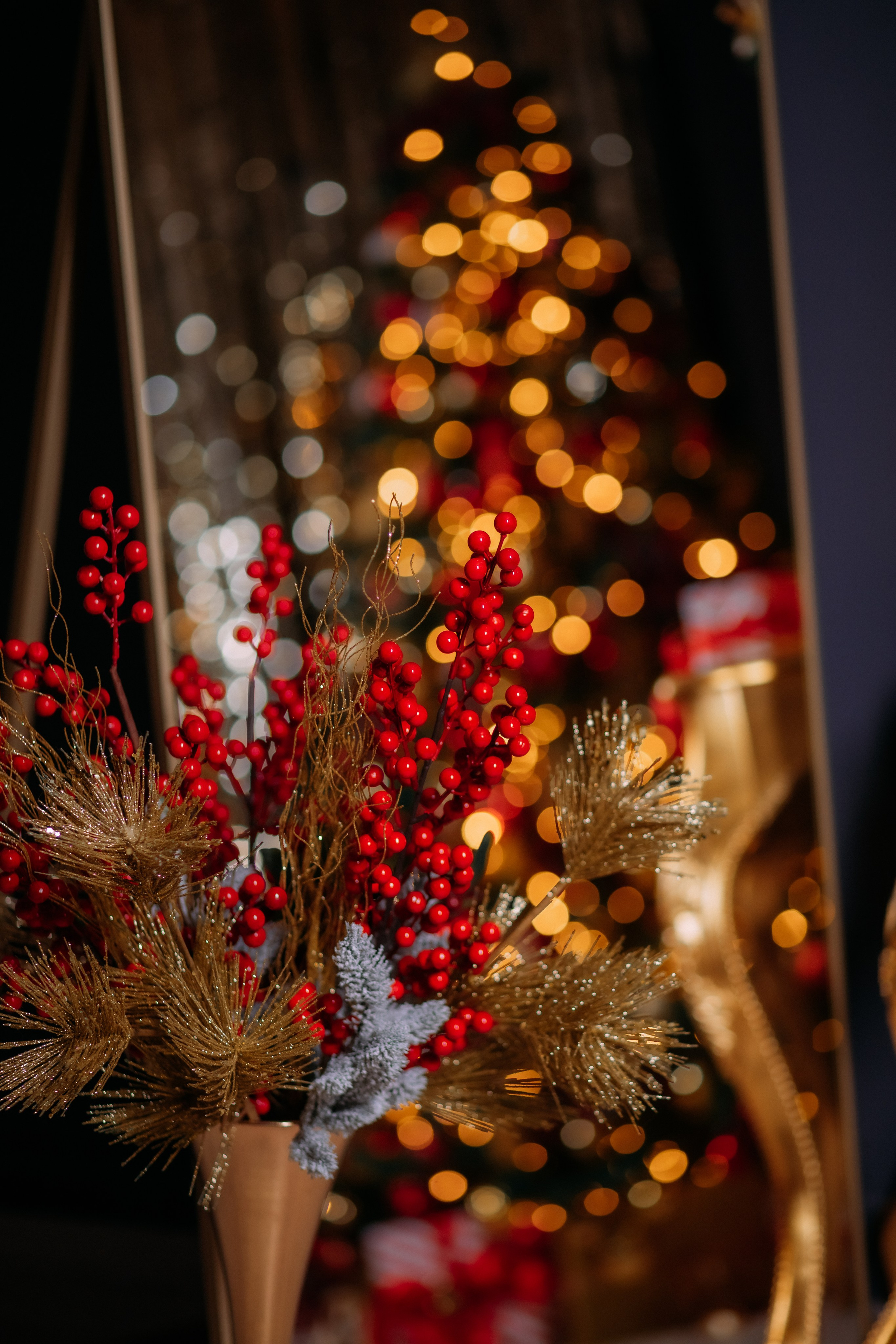 МОЯ НОВОГОДНЯЯ СТУДИЯ. 2018-2025. Женский и семейный фотограф Елена Петрова