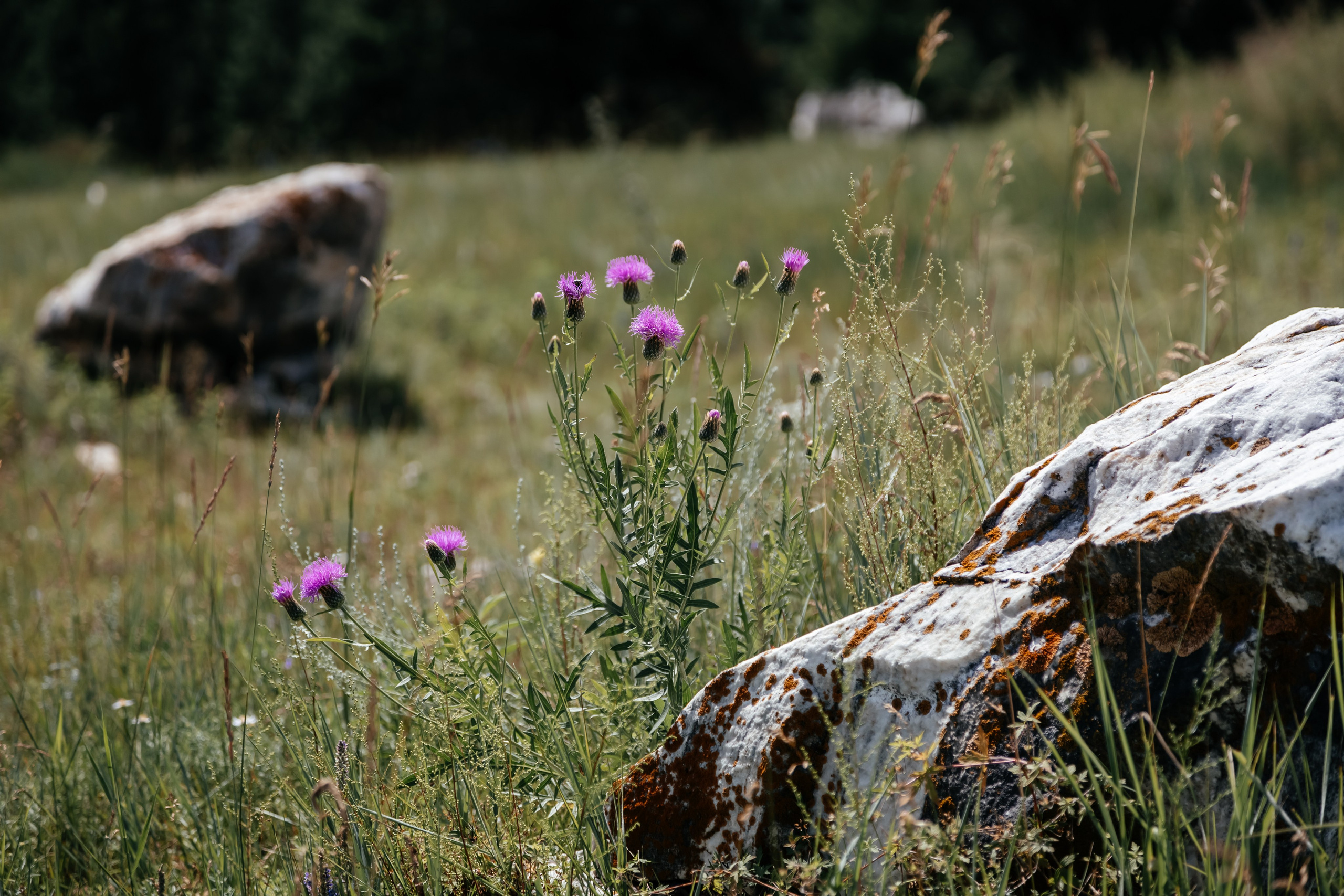 Байкал. Фотограф в Красноярске Оксана Корчагина