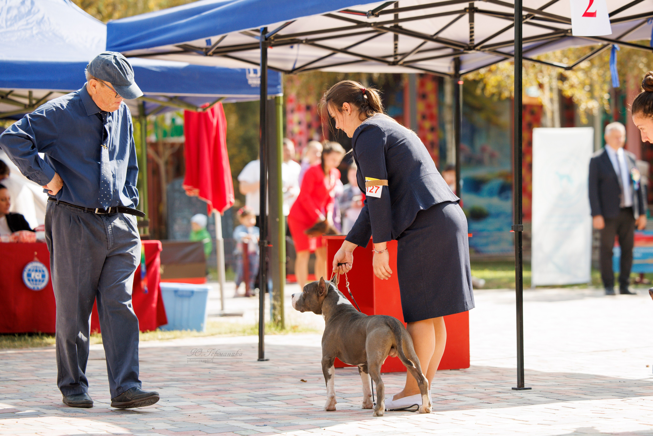 Ташкент 3хCACIB 3-5.10.2025. Фотограф-анималист Юлия Германика
