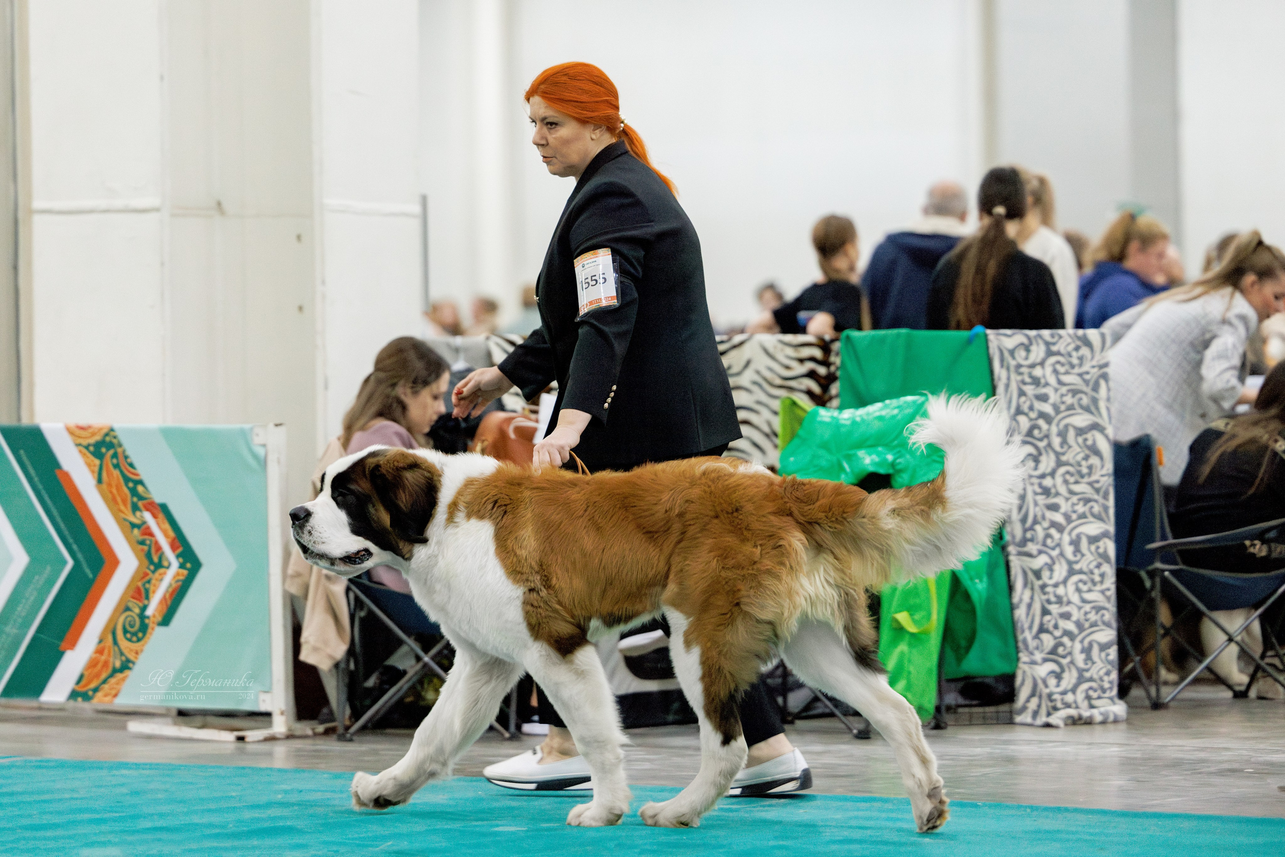 Евразия 16-17.11.2024. Фотограф-анималист Юлия Германика