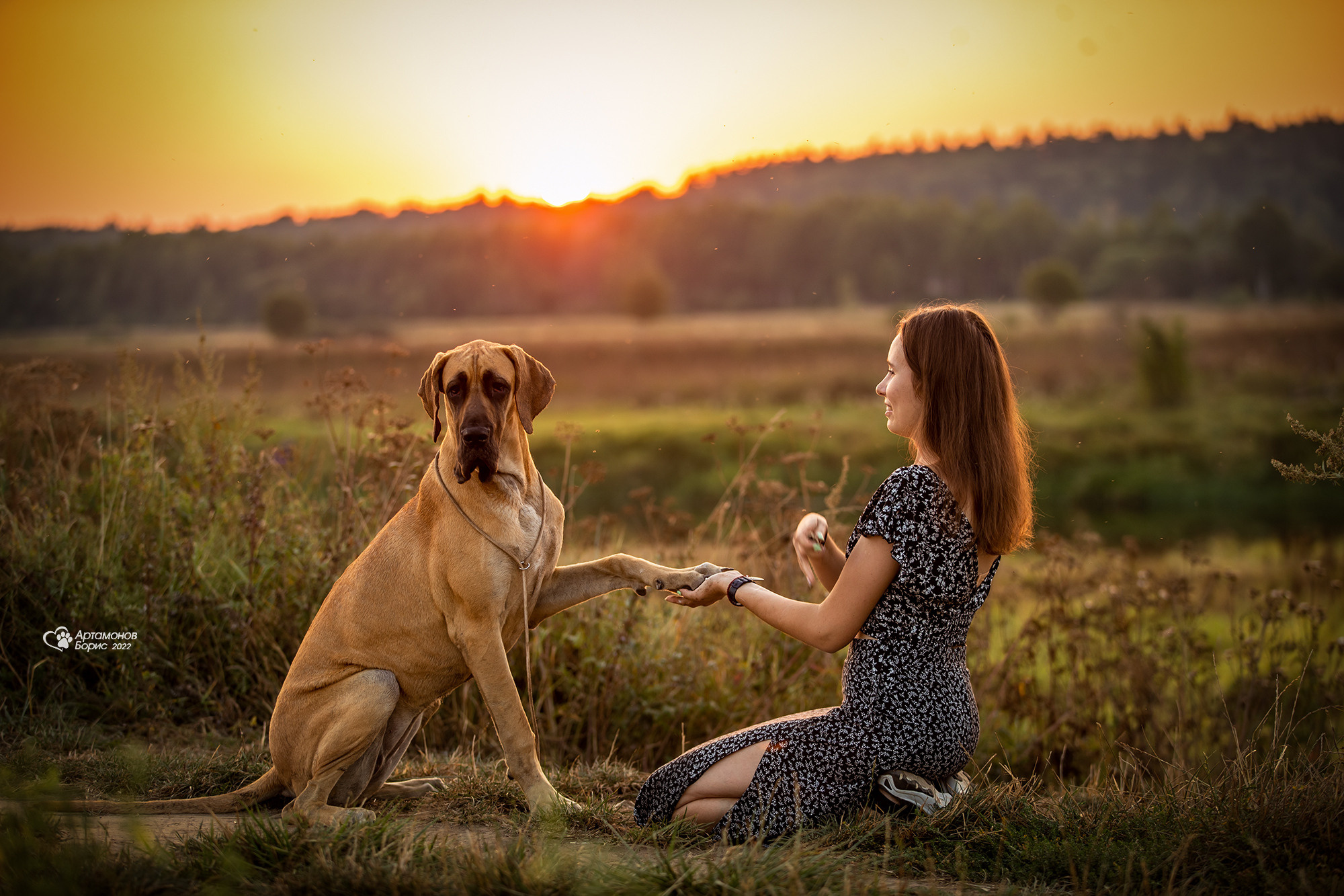 МАША И ДОГ. Борис Артамонов фотограф — анималист. Москва