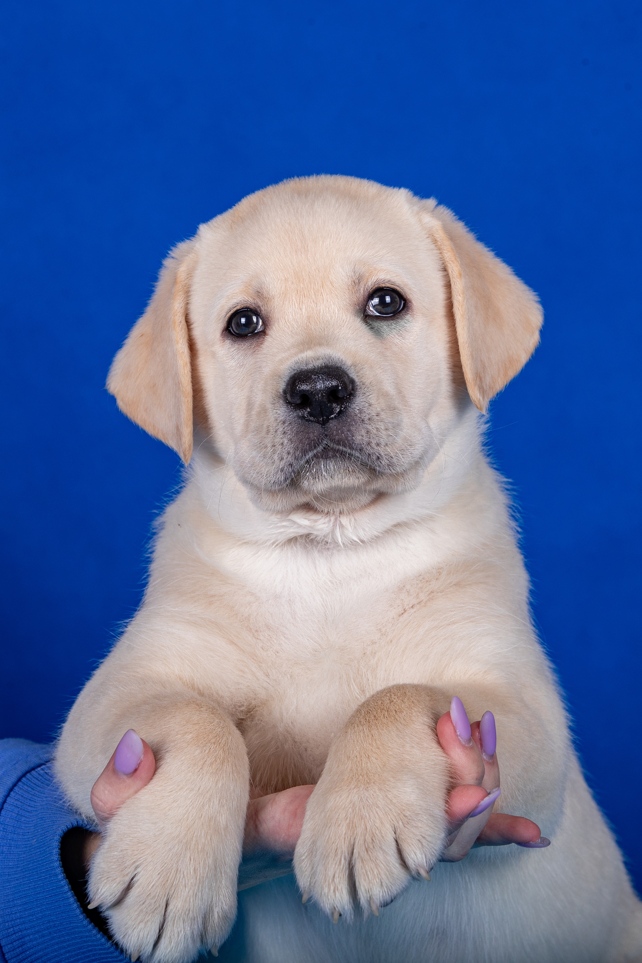 ФОТО ЩЕНКОВ. Борис Артамонов фотограф — анималист. Москва