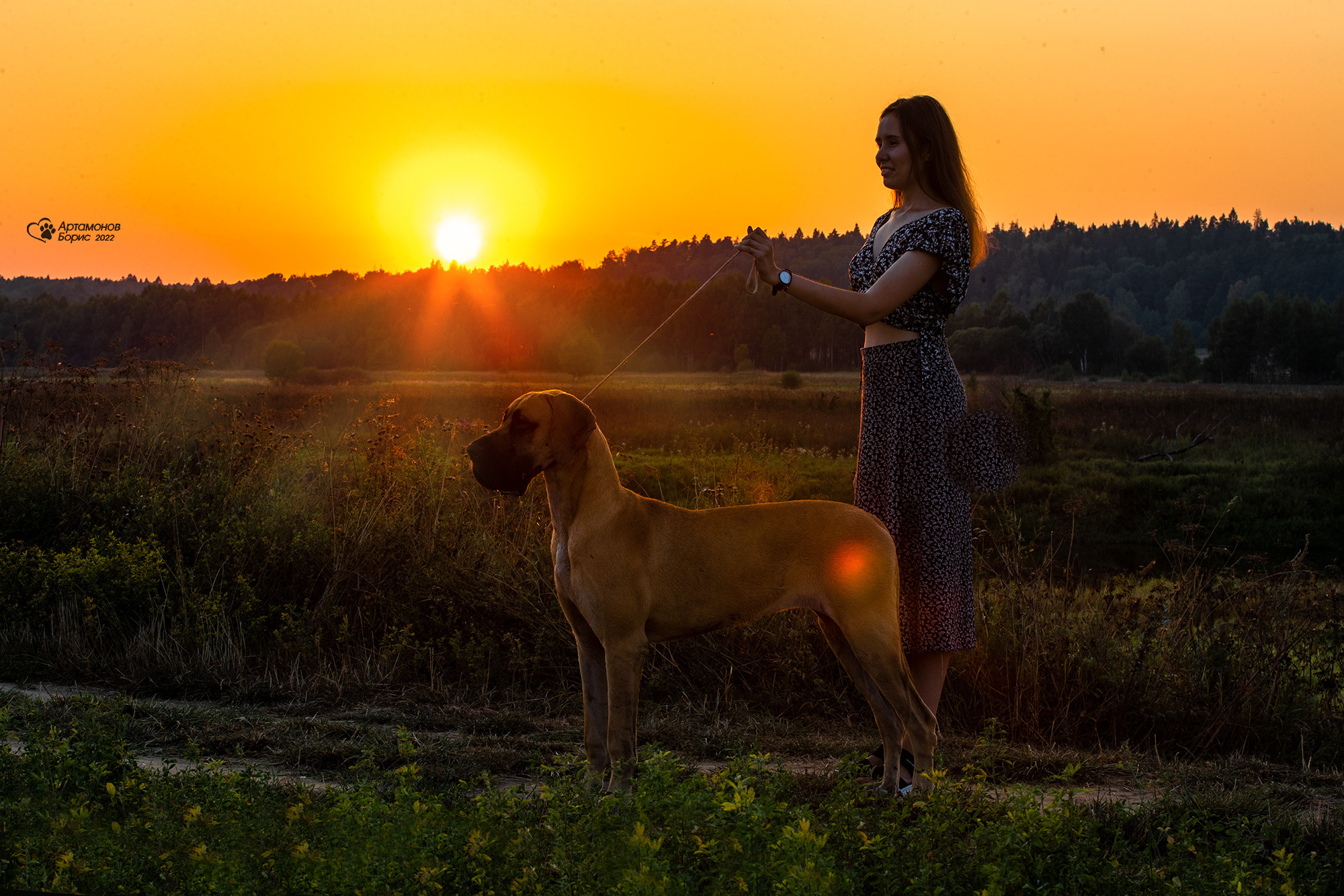 МАША И ДОГ. Борис Артамонов фотограф — анималист. Москва