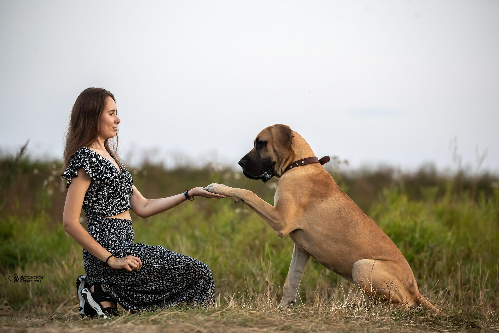 МАША И ДОГ. Борис Артамонов фотограф — анималист. Москва