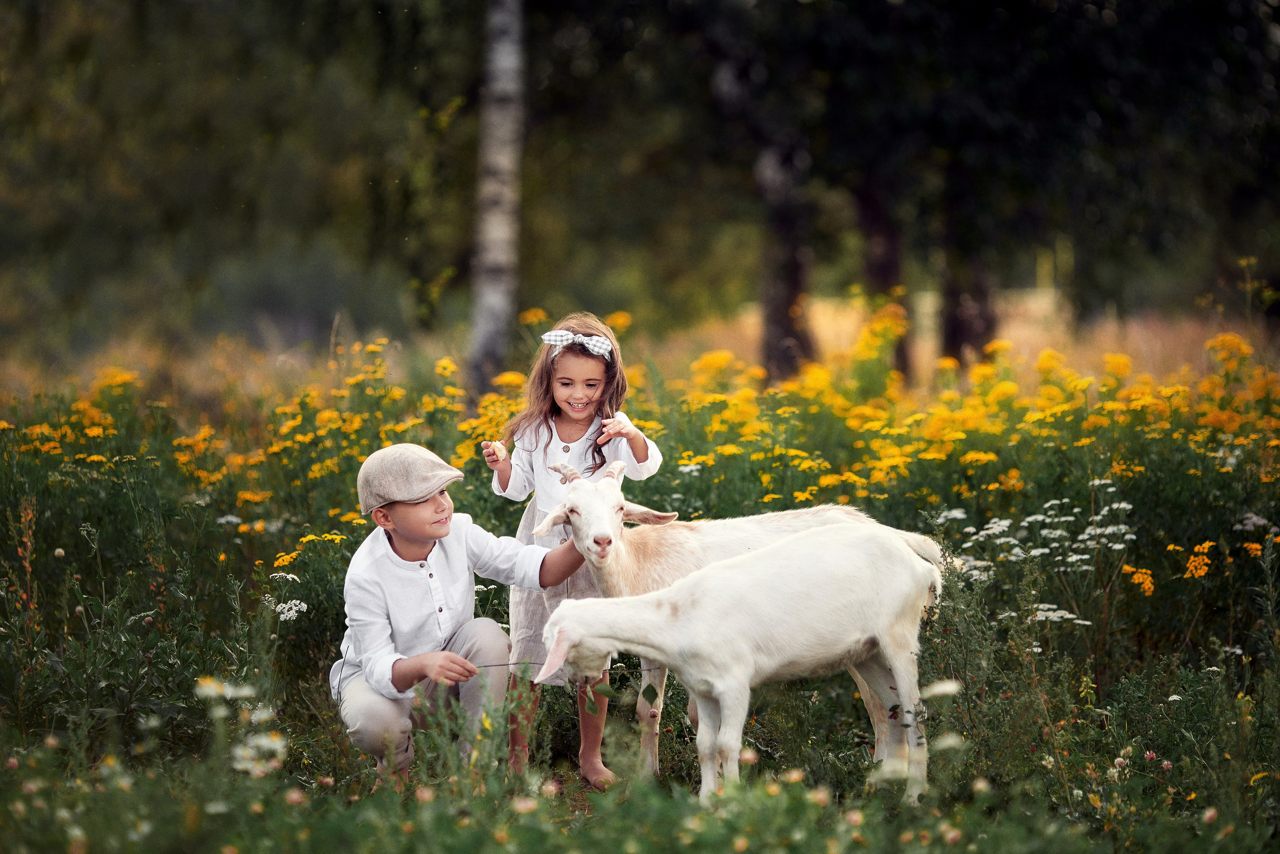 Артем и Катя.Козья ферма. Свадебный и семейный фотограф Игорь Елагин