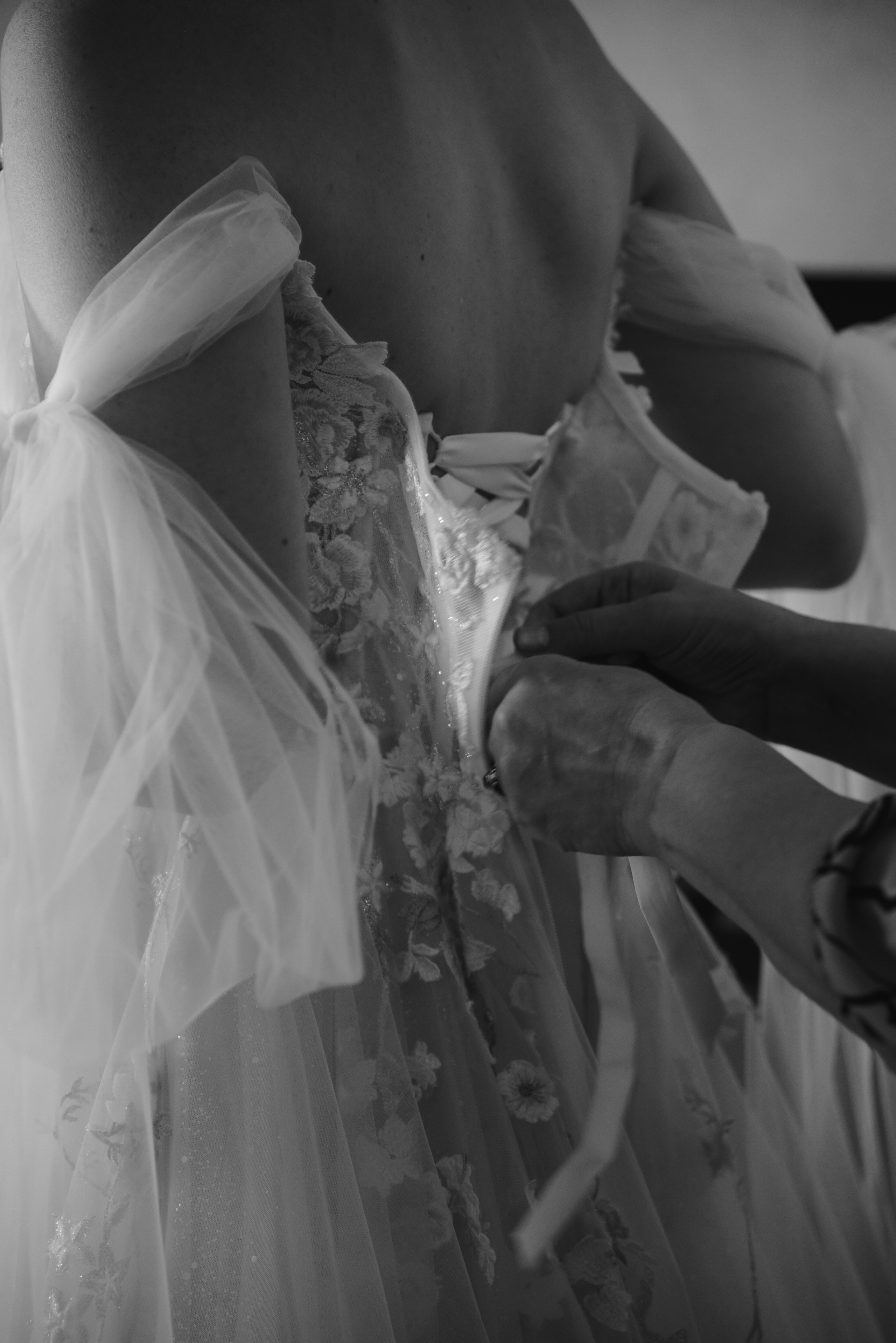 Майский снег. Фотограф Лола Волна, город Москва