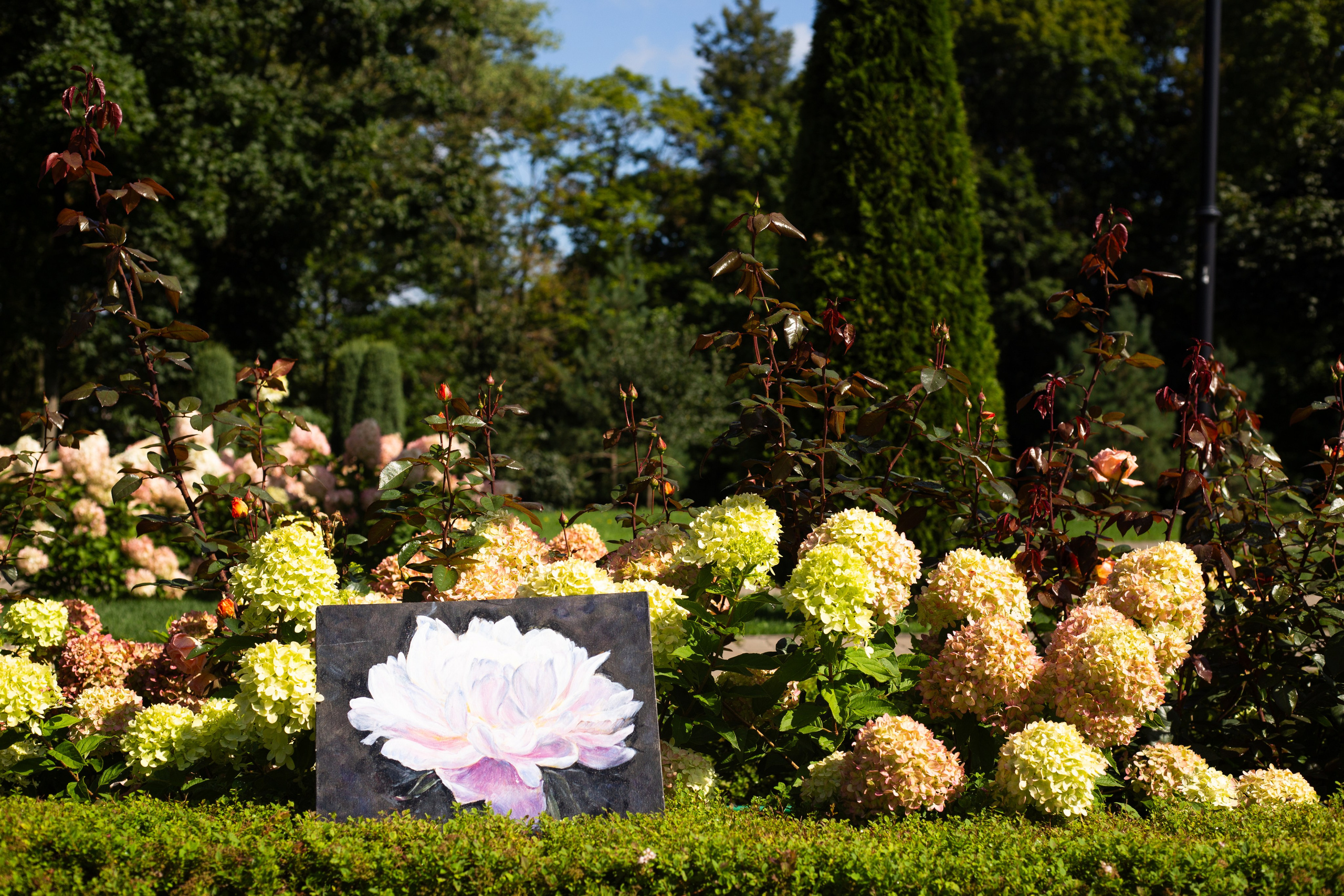 Небо отражается в глазах художницы. Фотограф Тула