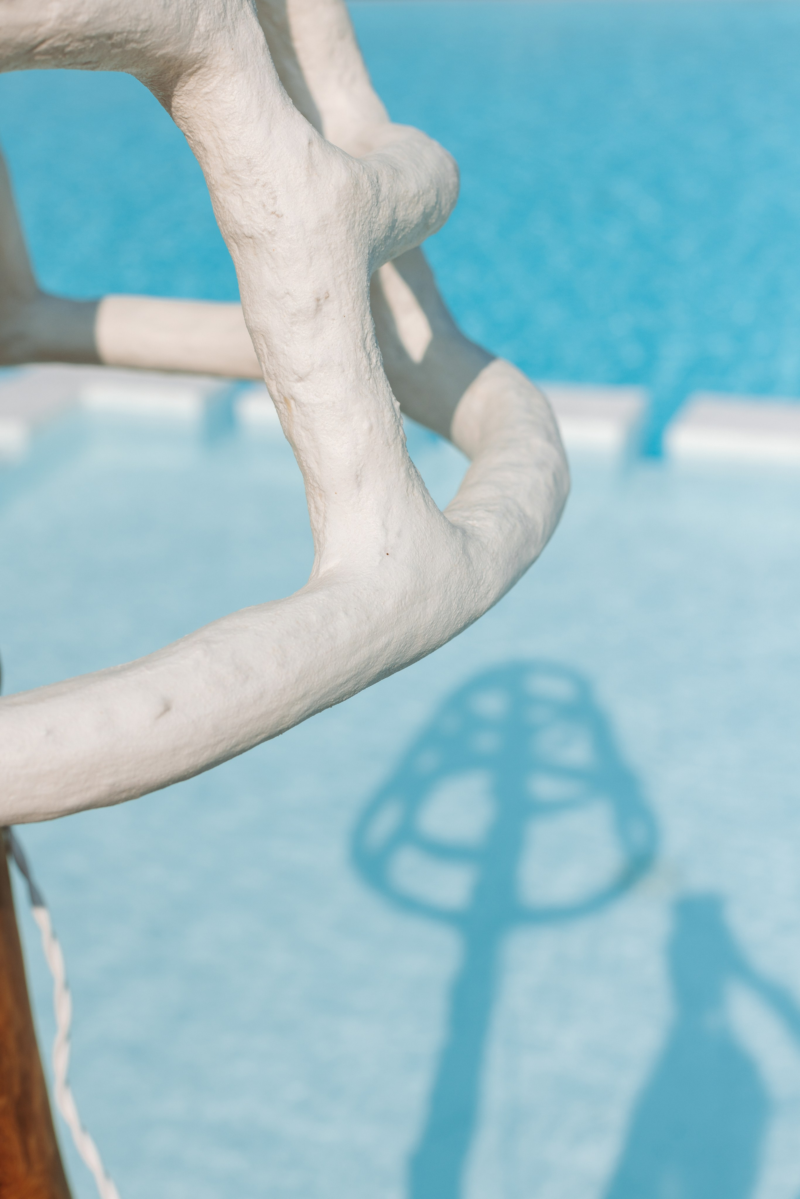 Kseniya Torgashina Designer. Фотограф на Юге России