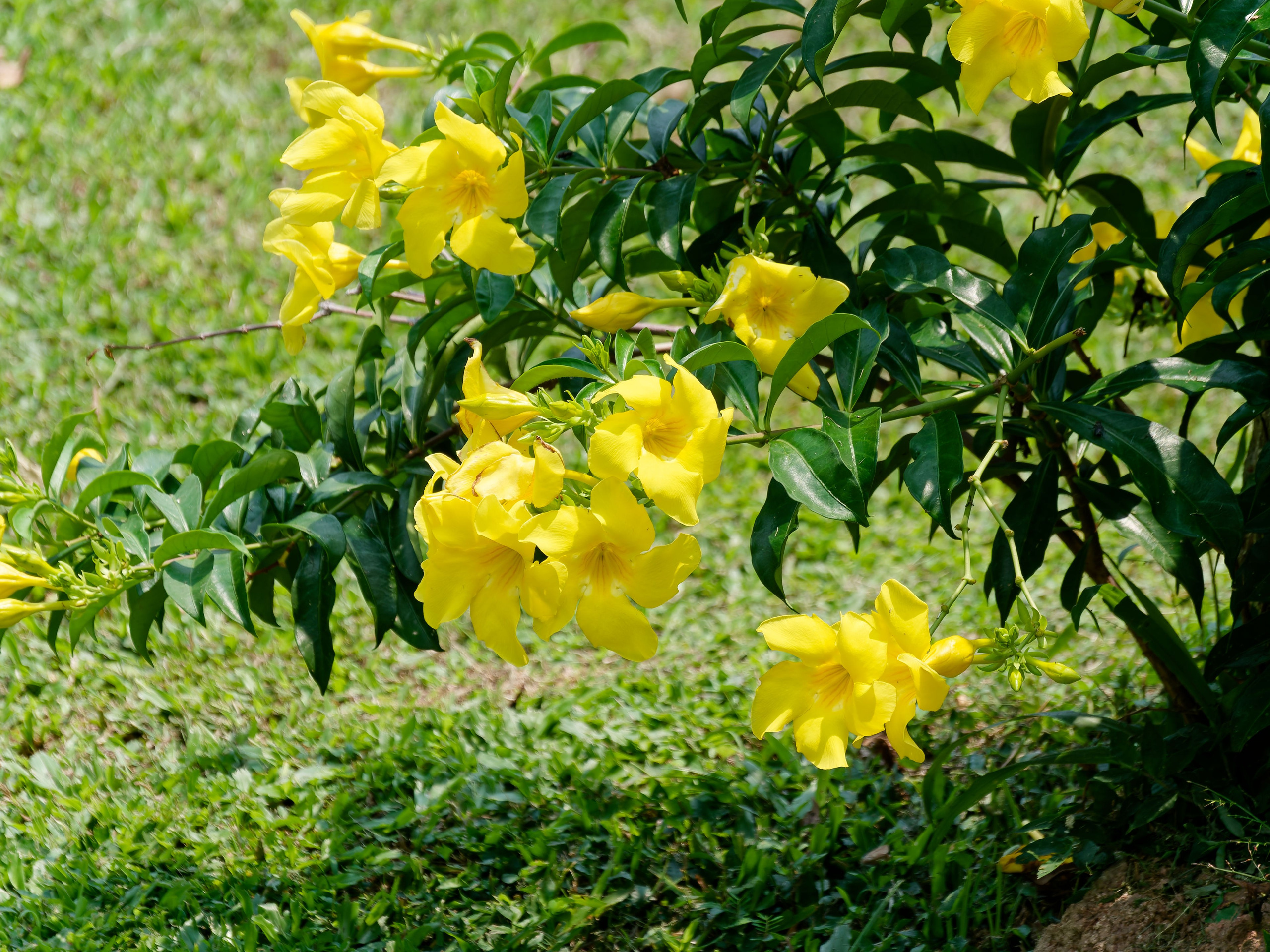 Хайнань 2026, Тур по буддийским храмам. Фотопрогулки по Миру