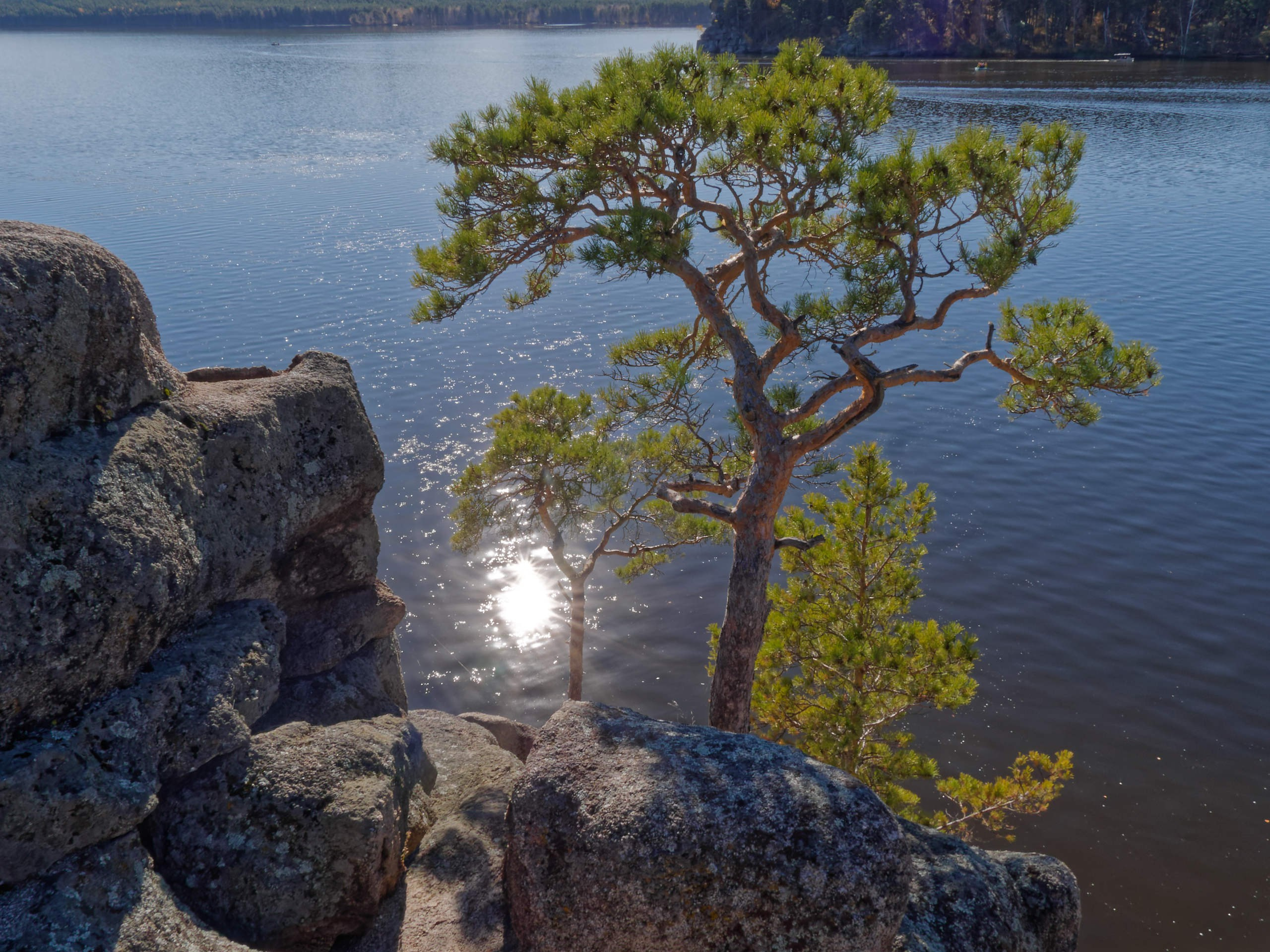Боровое 2024 (из архива). Избранные фотографии