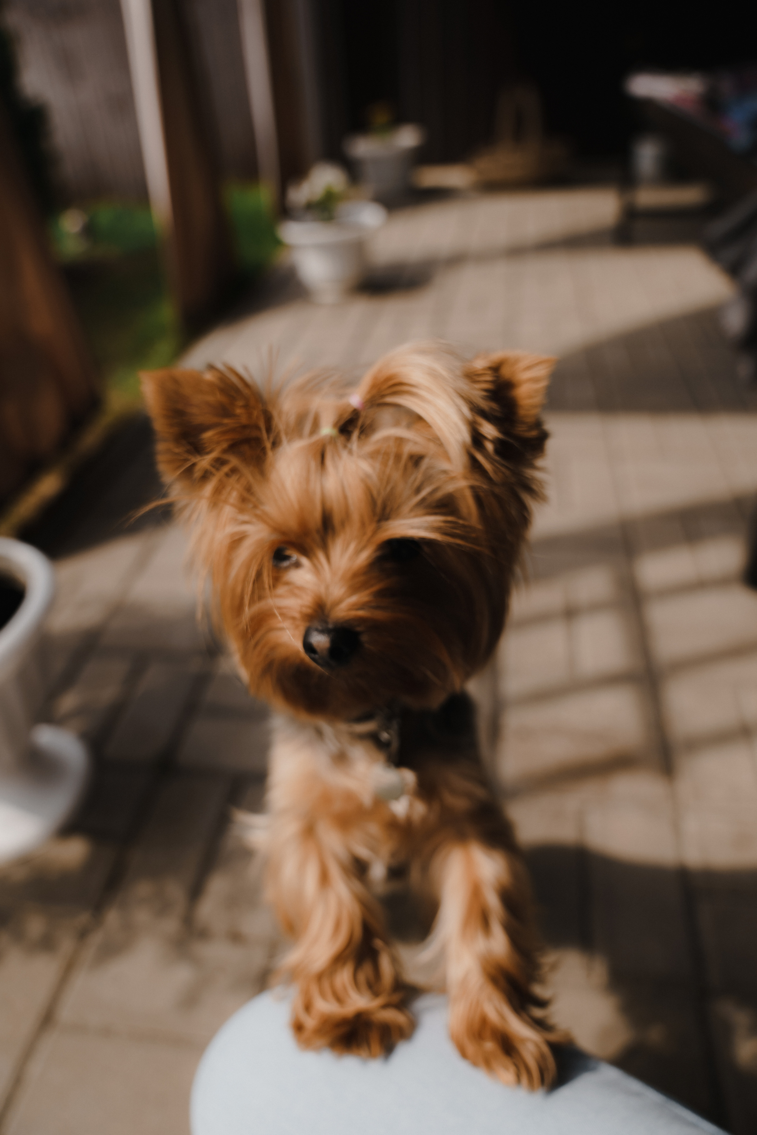 Первый годик. Семейный и женский фотограф в Белгороде Мария Алексеева