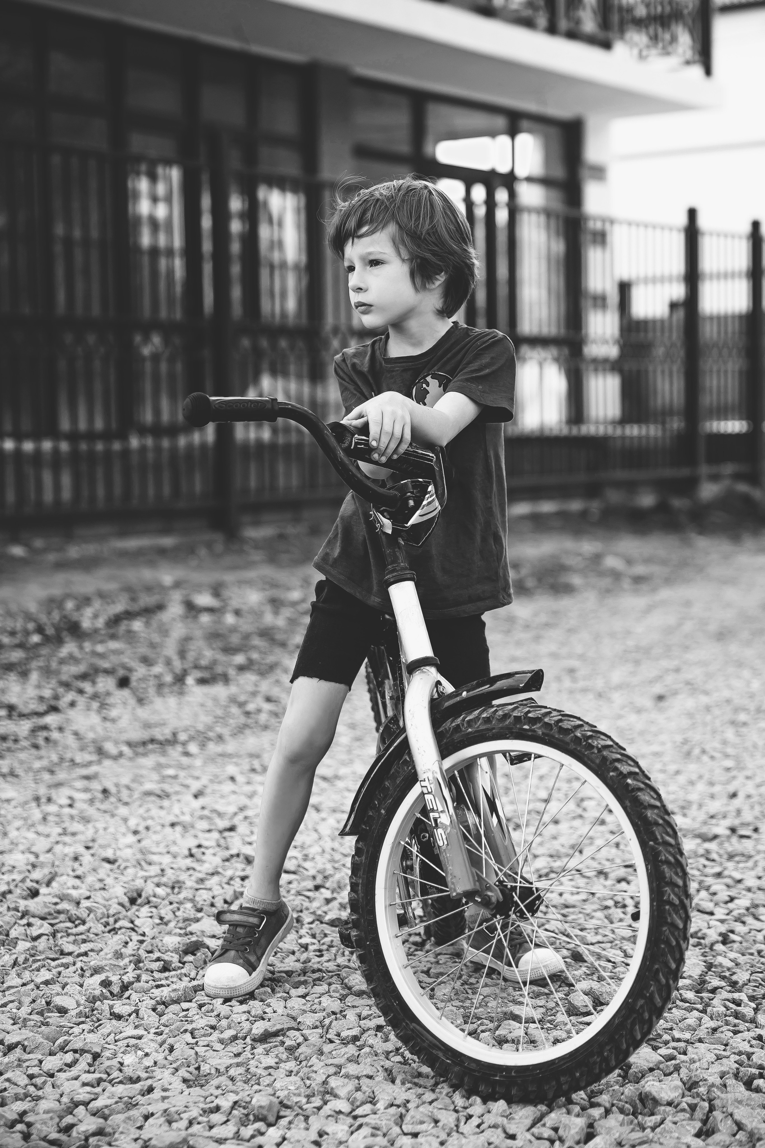 Тарас. Май 2025. Свадебный и семейный фотограф Колоскова Мария (Сочи и весь мир)