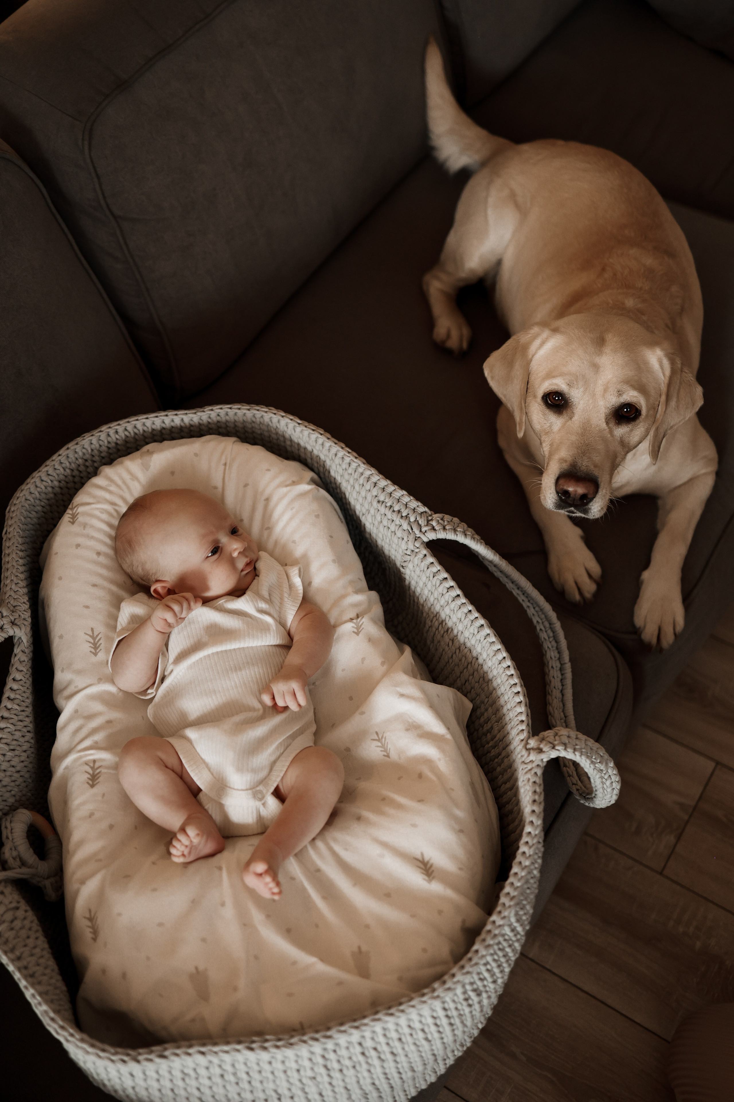 Домашние истории. Фотограф Юлия Говор