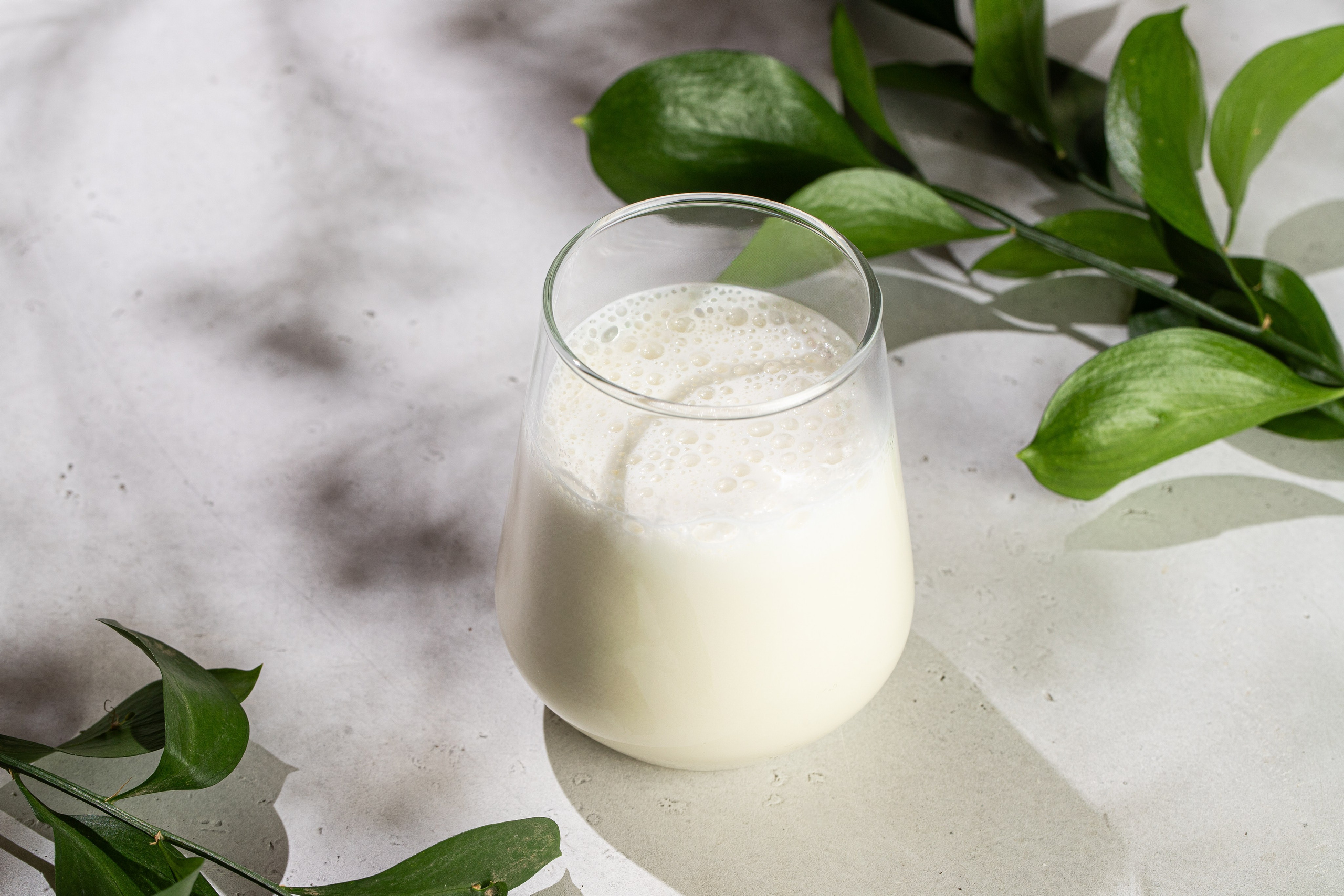 Кофейня «Чайка» Фитнес меню. Краснов Максим фуд-фотограф, предметный фотограф, Москва