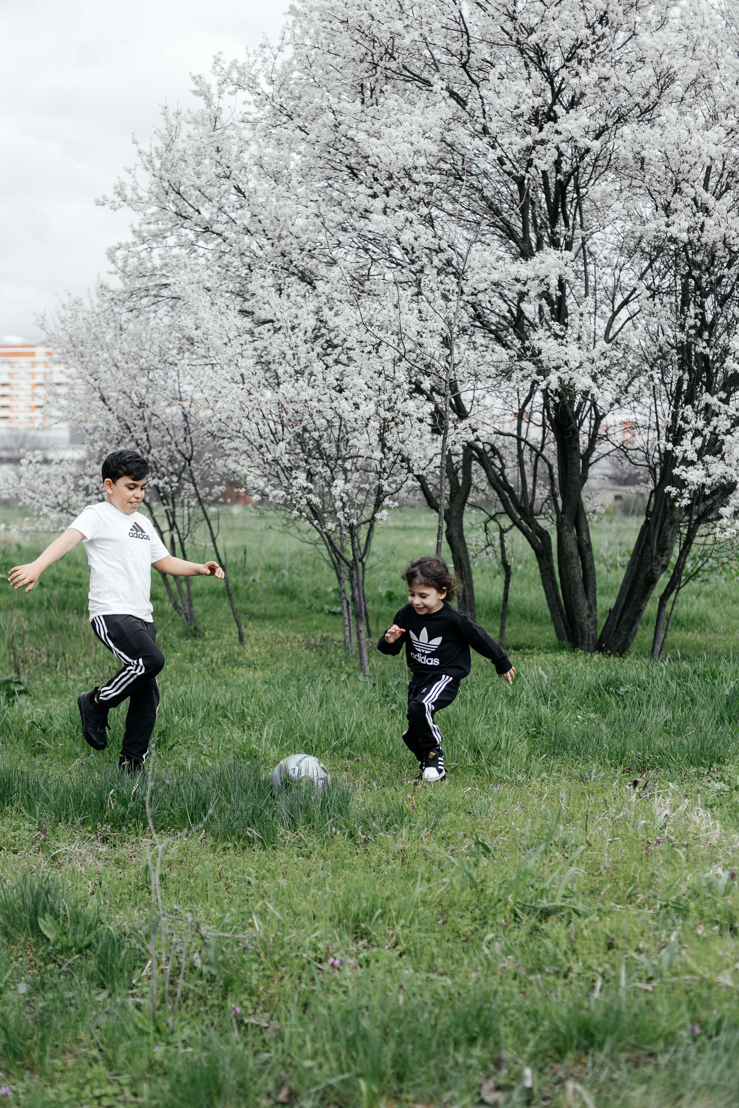 Семейная фотосессия в цветении. Свадебный, семейный, brand фотограф в Краснодаре Макарова Ксения