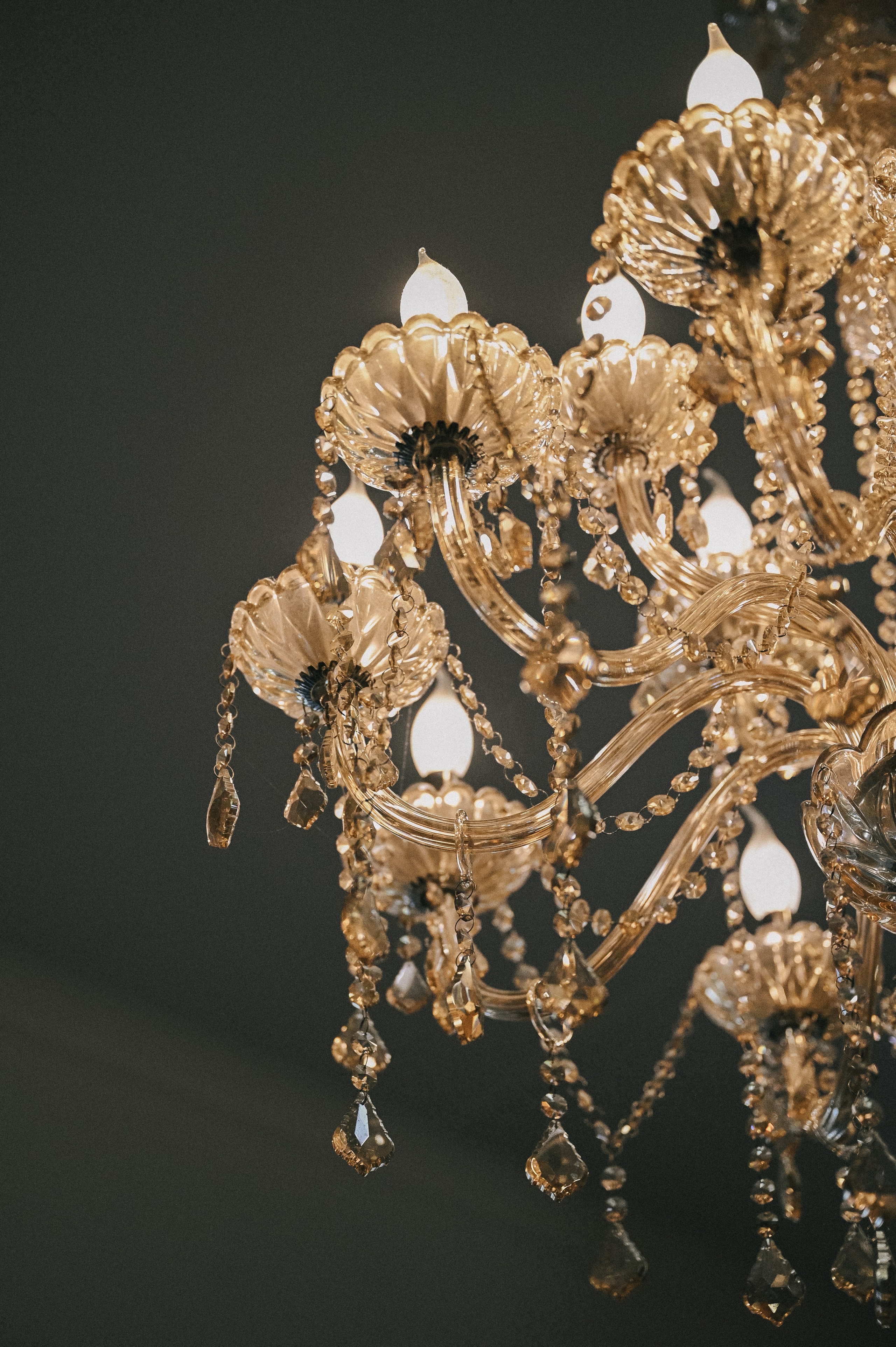 Саша + Полина. Свадебный и семейный фотограф Волгоград Москва