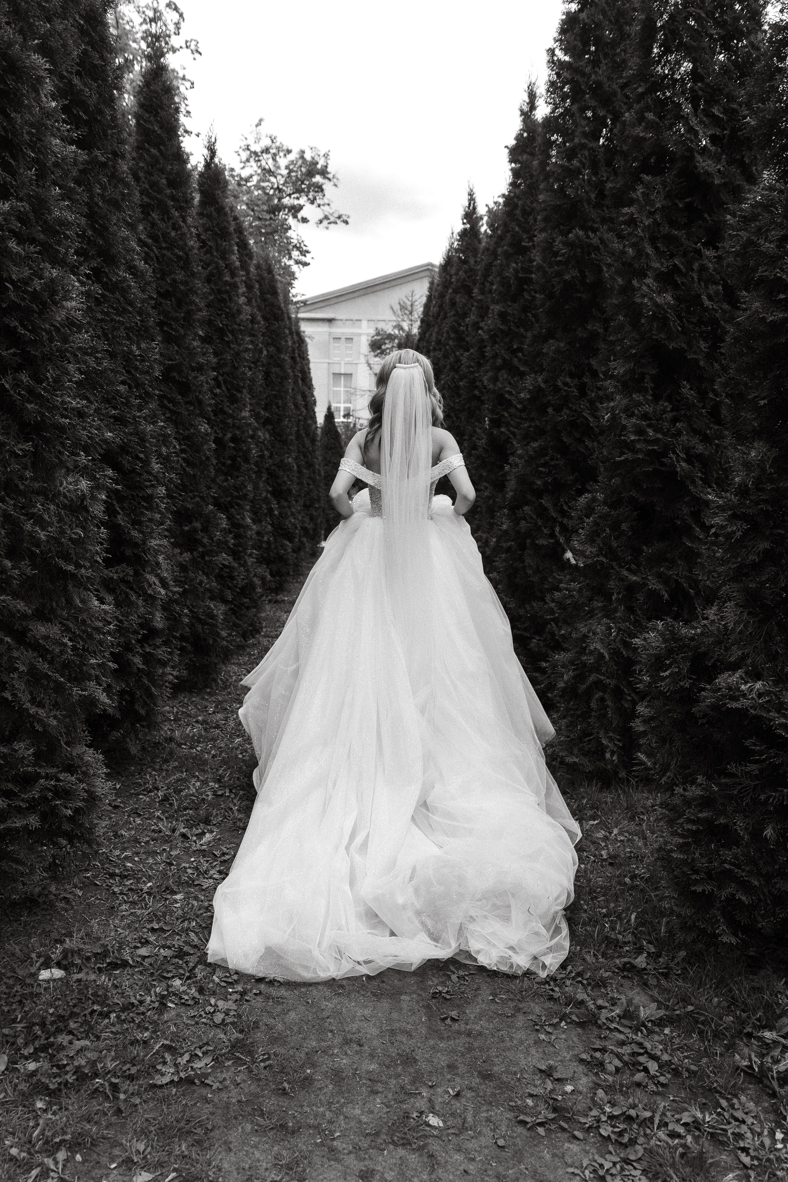 Кристина и Даниил. Свадебный и семейный фотограф Исаев Давид