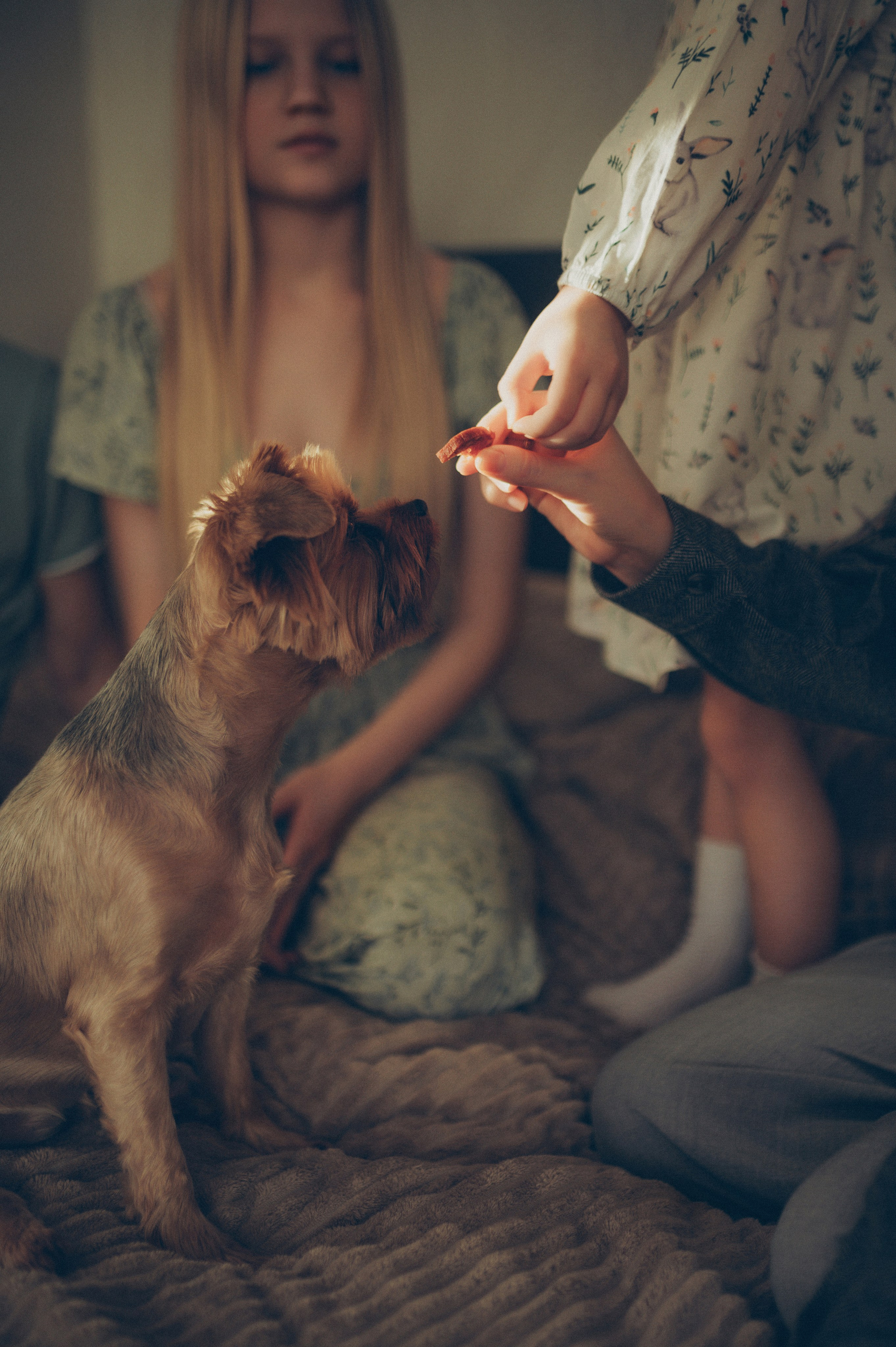 Тася, Соня, Женя и Илья (домашняя). Фотограф, г. Лесной Свердловской области