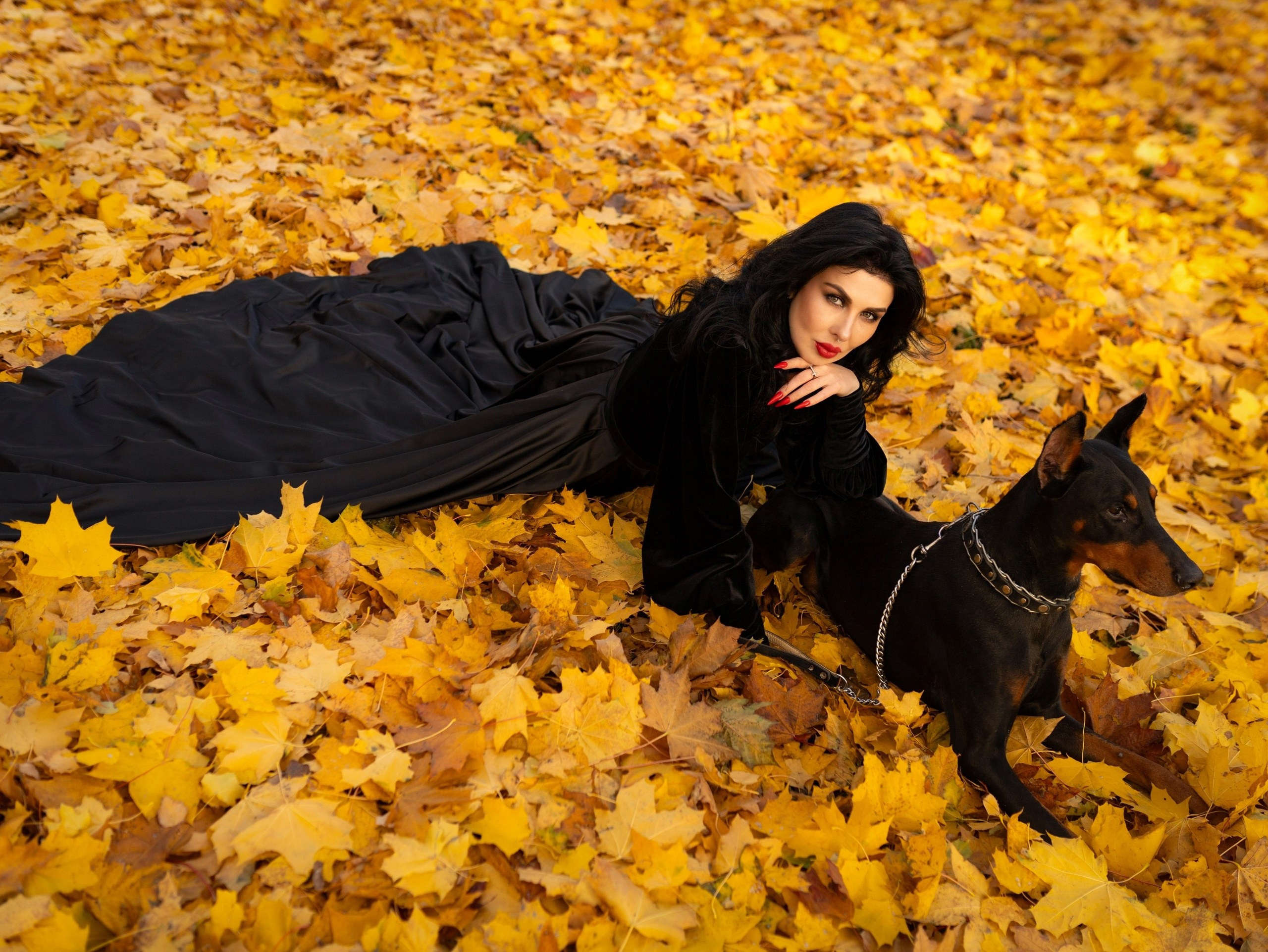 Фотосессия с Доберманом Липецк. Свадебный и семейный фотограф Виолетта в Липецке