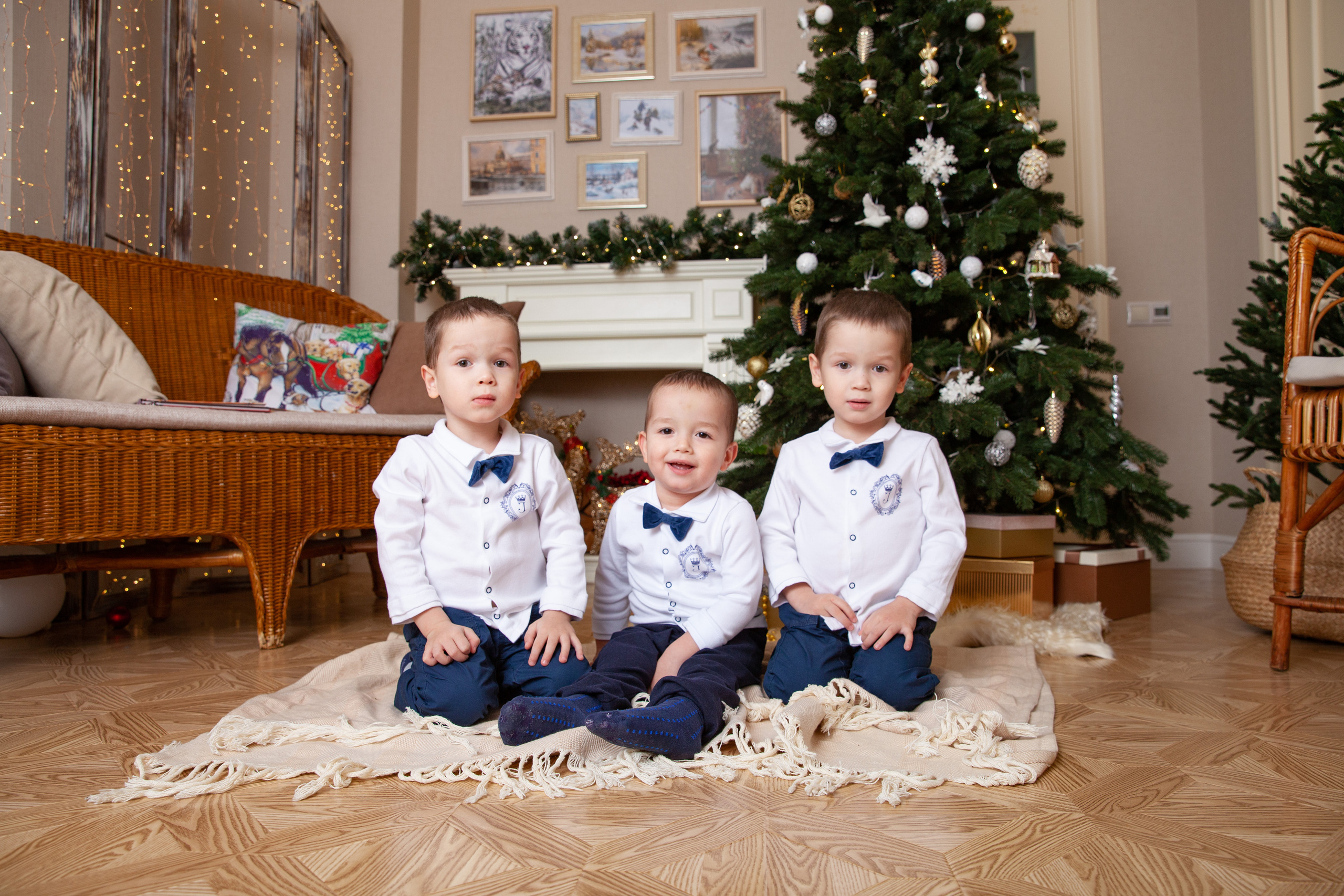 трое сыновей у ёлочки