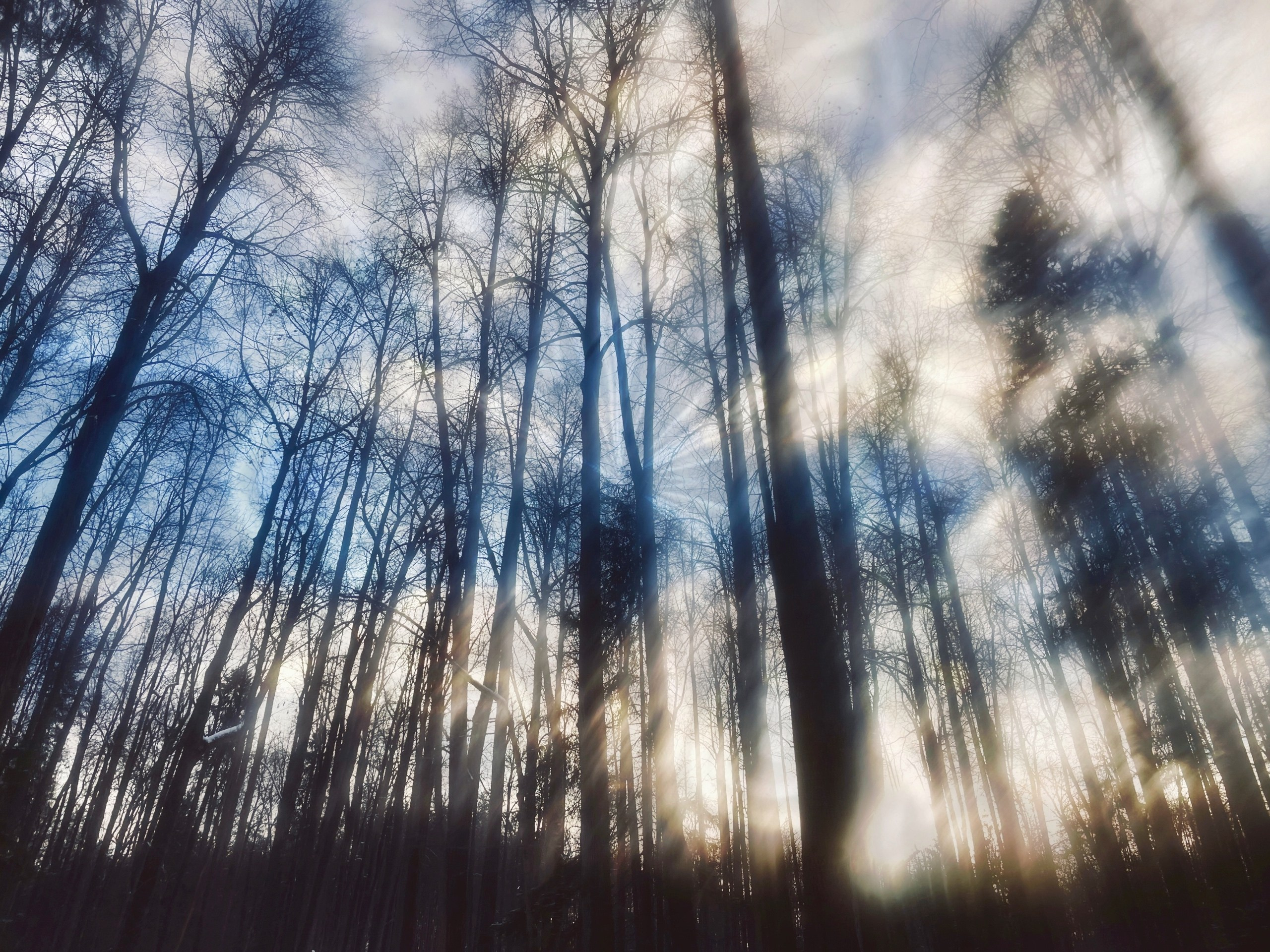 Тексты. VITA · visual therapy arts
