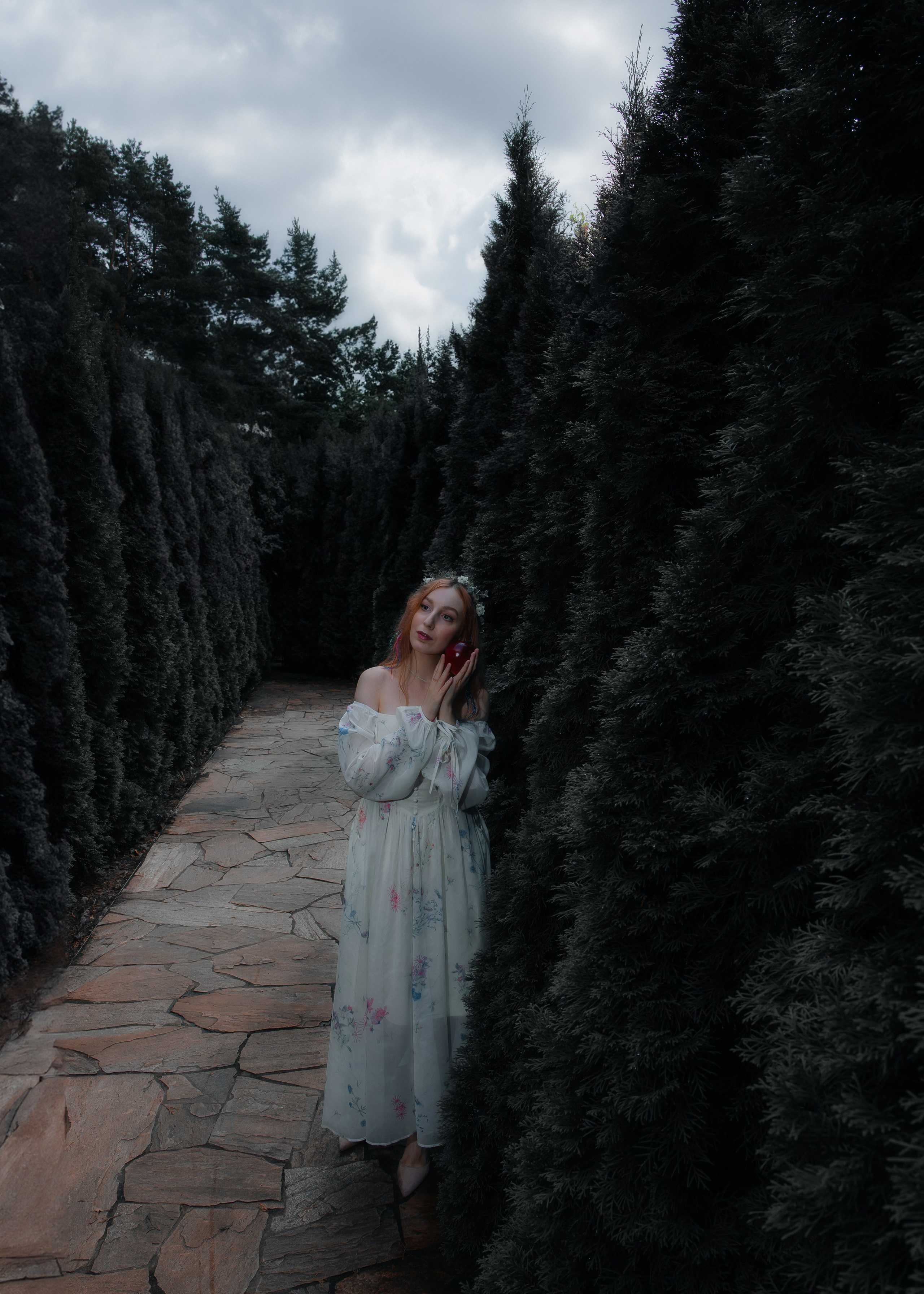 ELENA. Shamirov Arkadiy