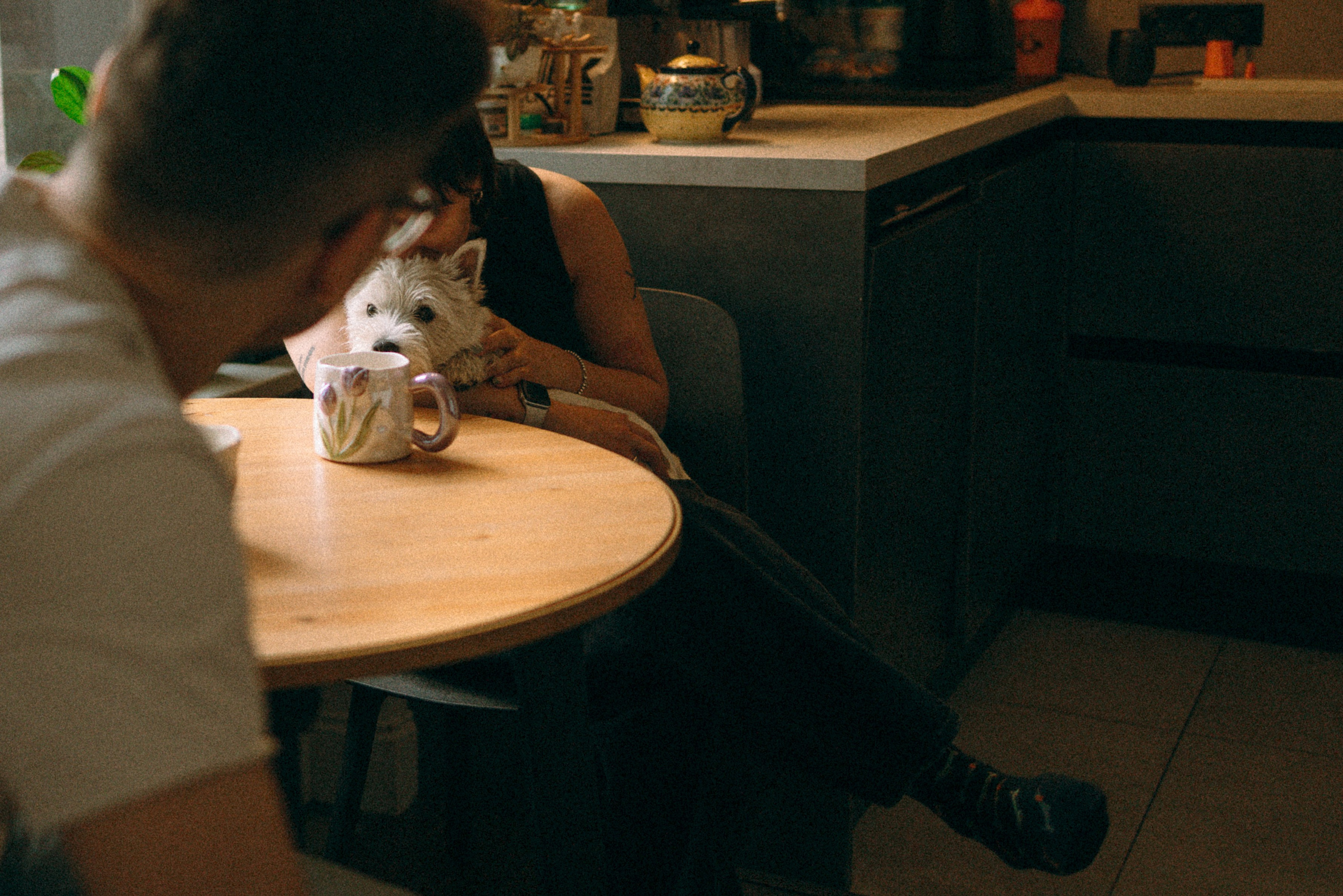 Снежуля, Мари и Саша. Фотограф анималист Анастасия Пикей