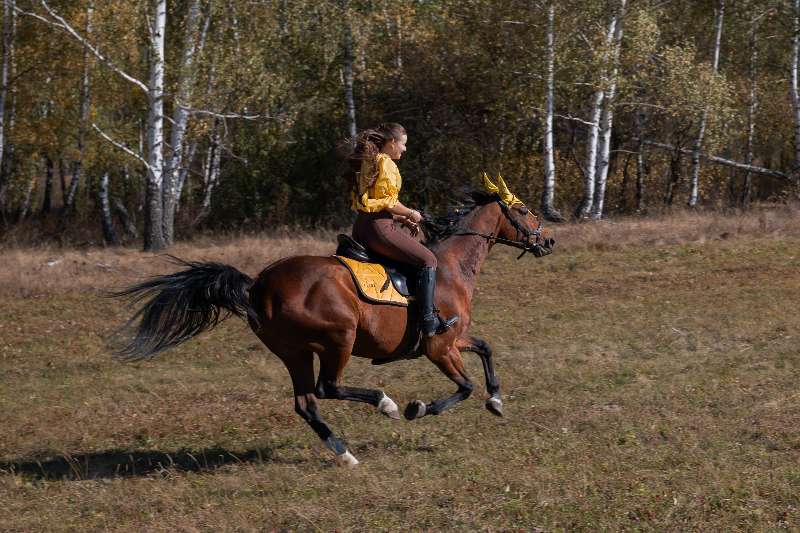 Фотосессия с лошадьми