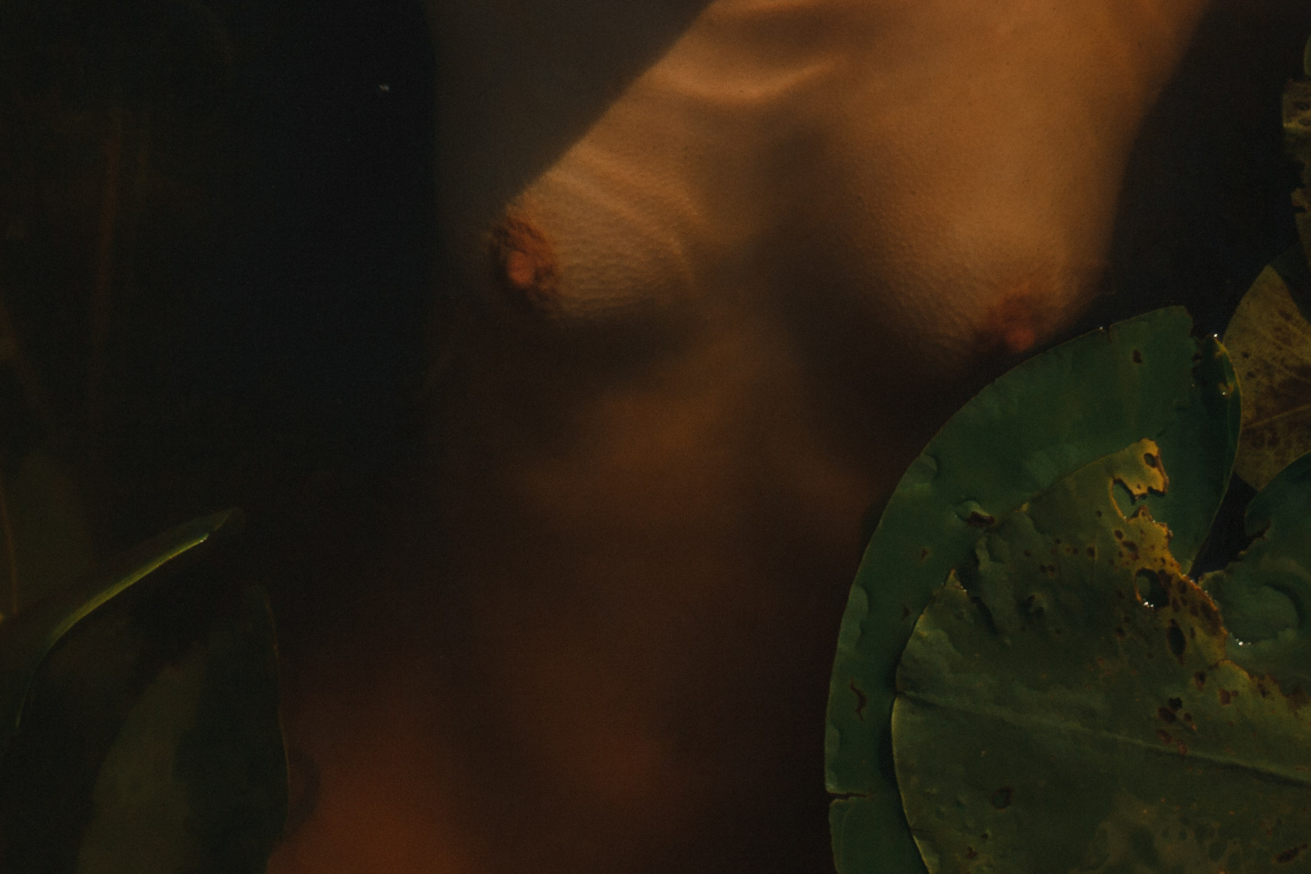 Ню 18+ Съёмка в воде Рассвет Кувшинки. Портретный и репортажный фотограф в Москве, Ольга Ларема