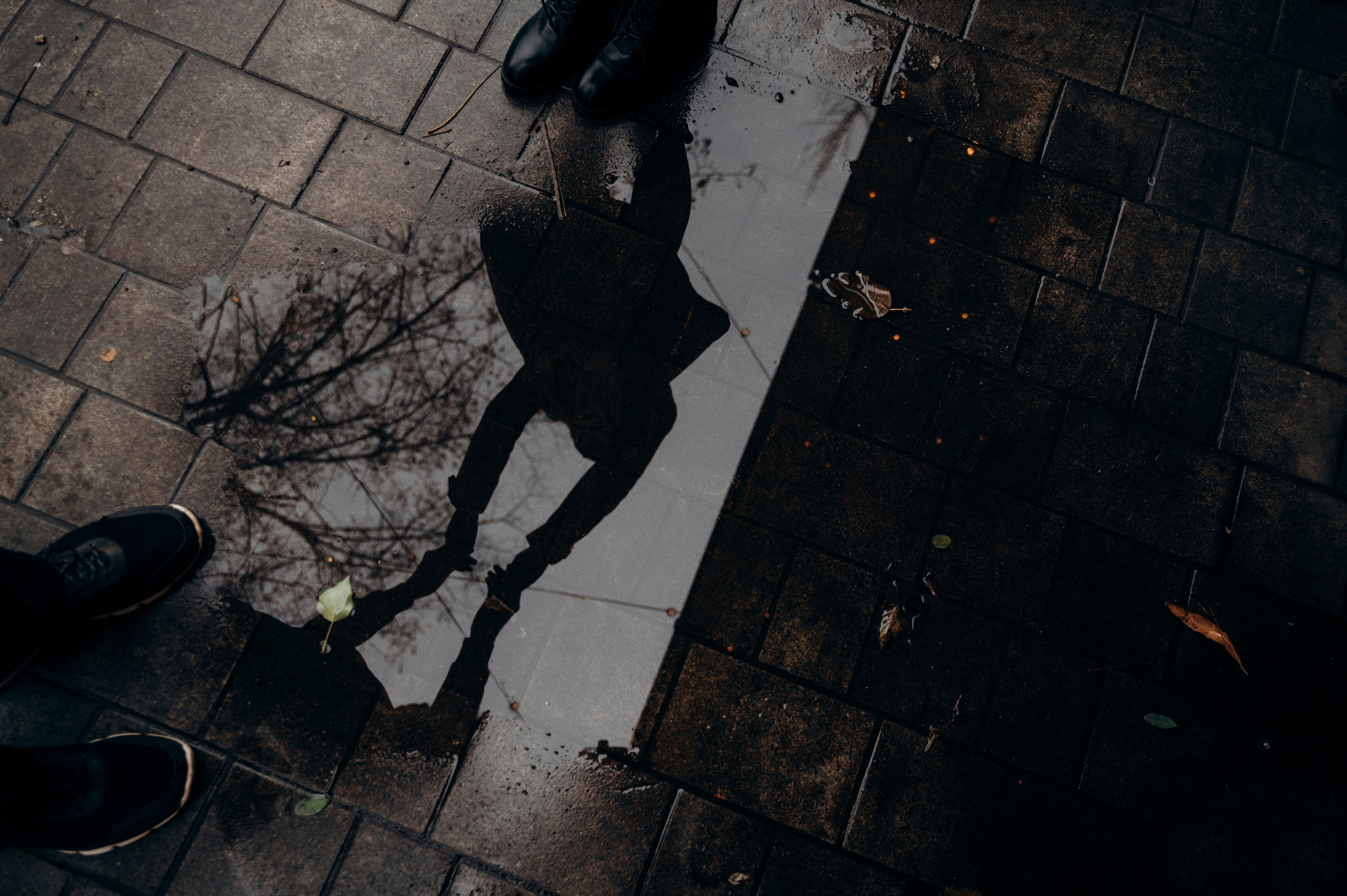 Осень в объятиях. Семейный и детский фотограф Анастасия Монченко