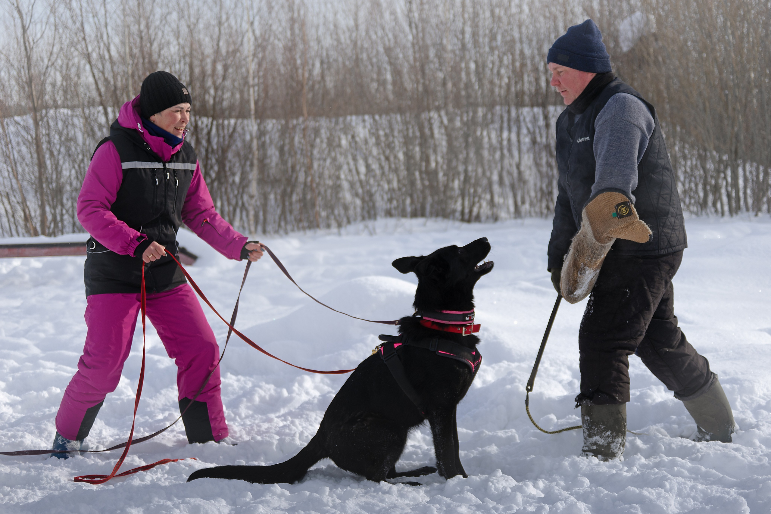 Репортажная съемка. Фотограф-анималист Нижний Новгород