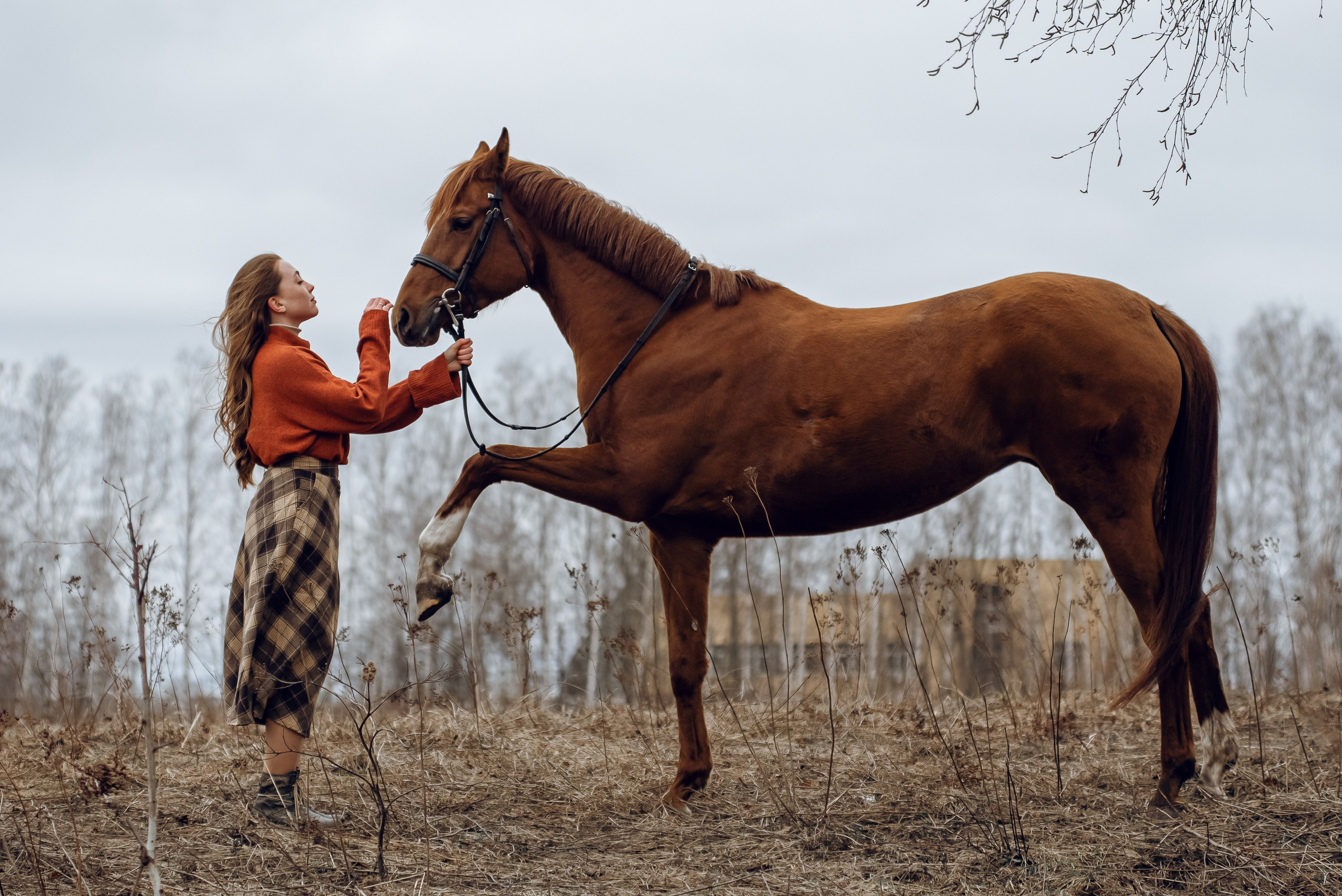Весенний Ветер. Фотосессии с лошадьми. Женский фотограф Наталья Латыпова