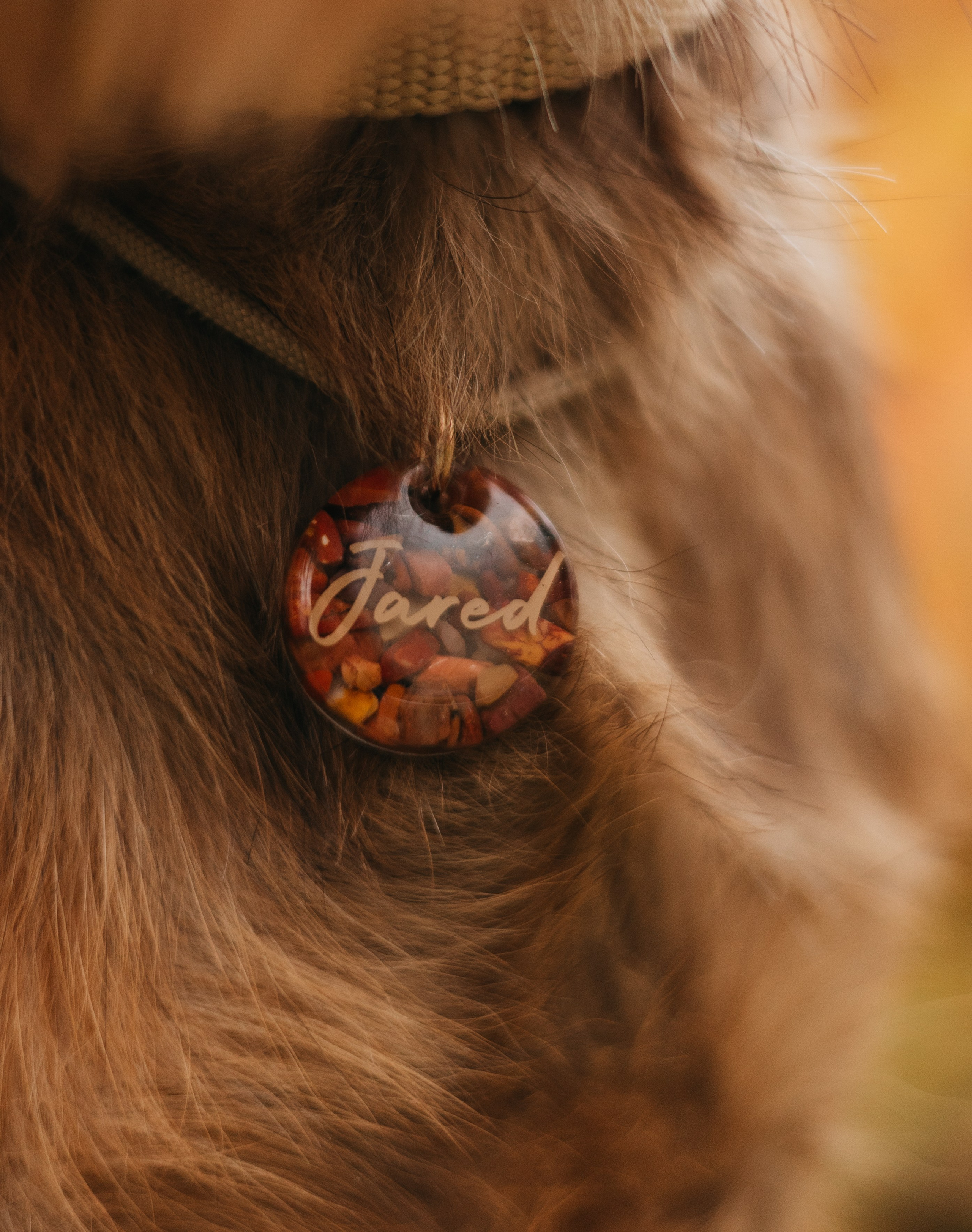 Полина и Джаред. Фотограф животных Евгения Верцинская