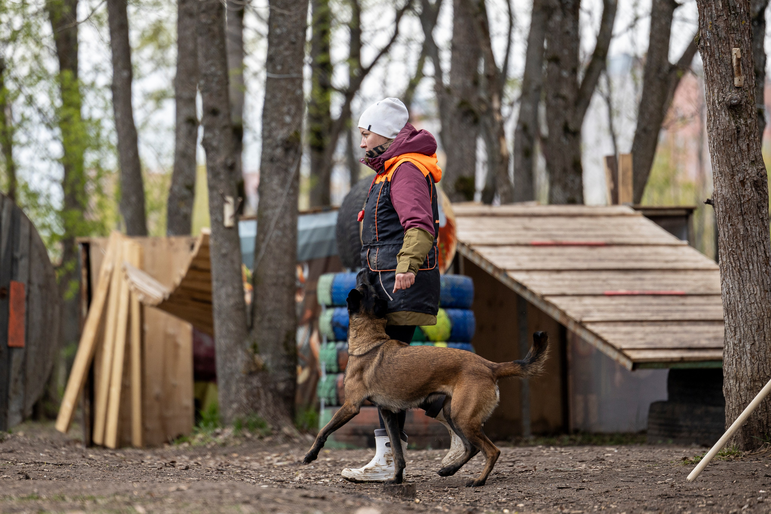 Квалификационные состязания по мондьорингу г. Вологда 11.05.24. Фотограф-анималист Анна Маринич