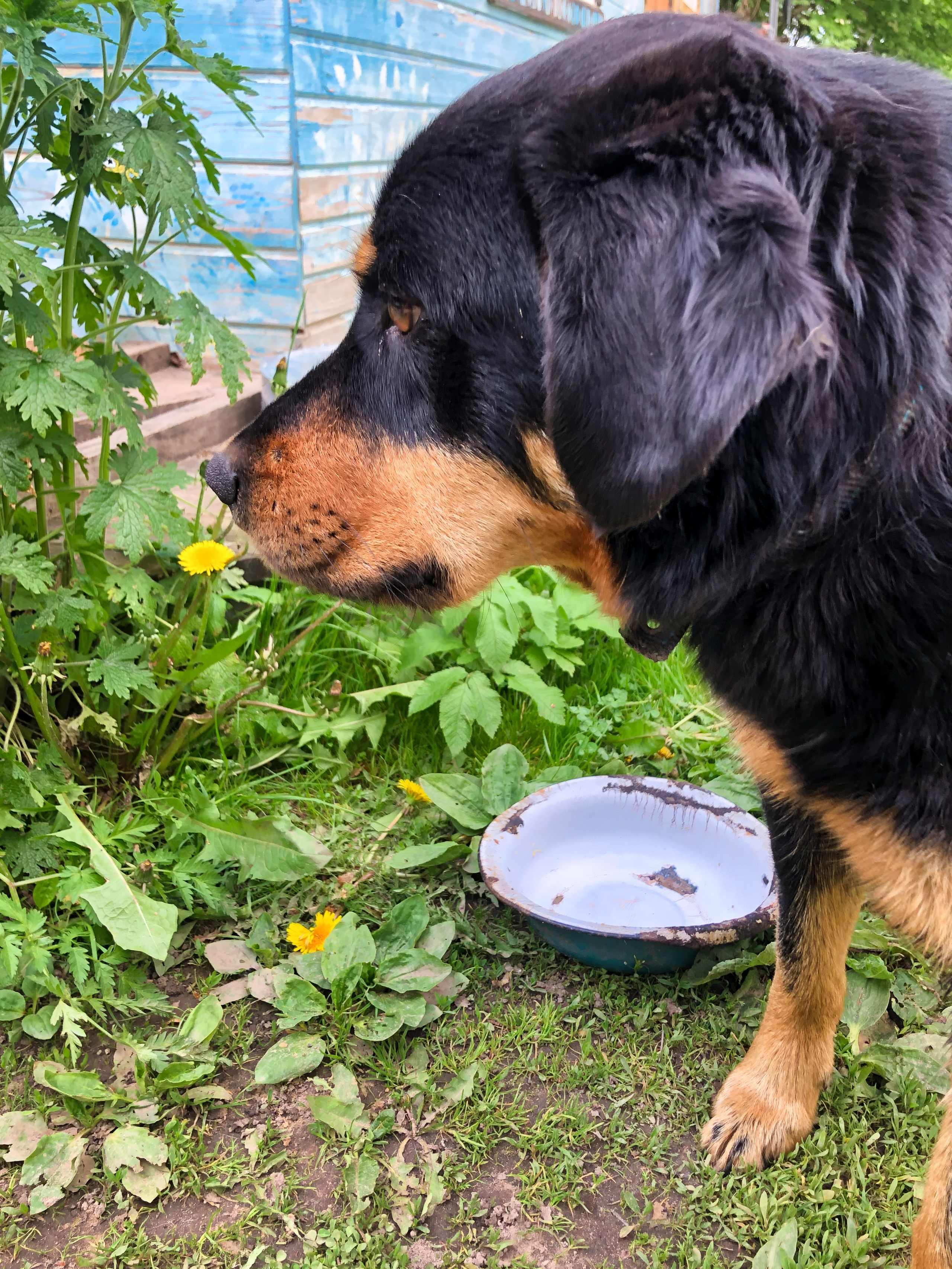 На берегу Угры. Конец мая 2024 года. Фотограф Никифоров-Гордеев Сергей. Москва и МО