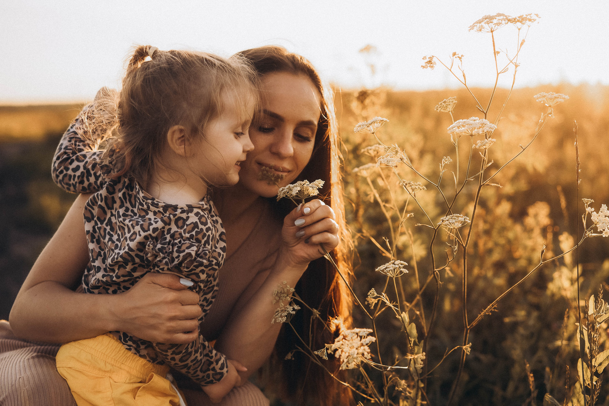 Семейная сьемка в поле на закате. Фотограф Екатеринбург Кокшарова Александра
