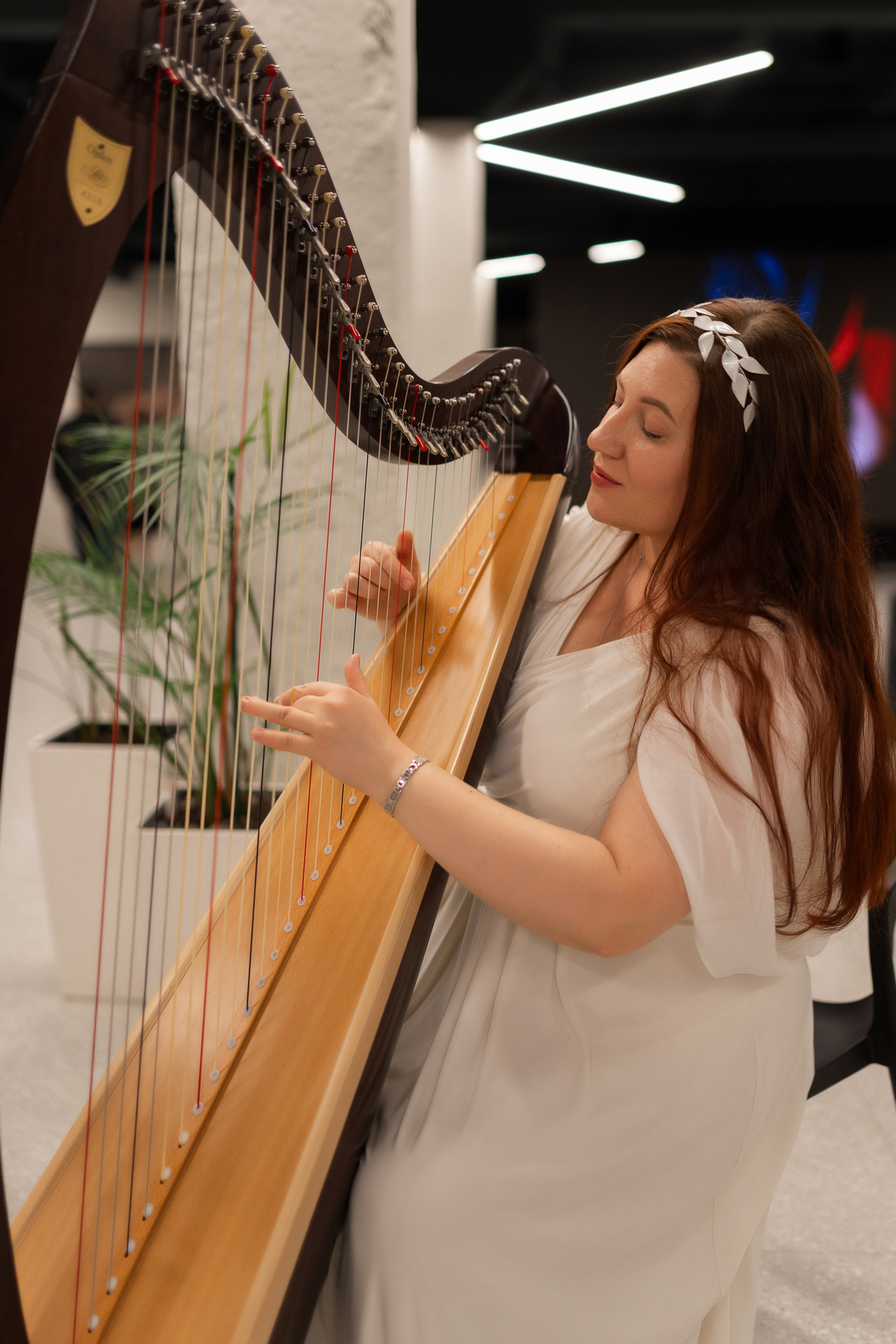 Фотовыставка. Фотограф Островская Юлия