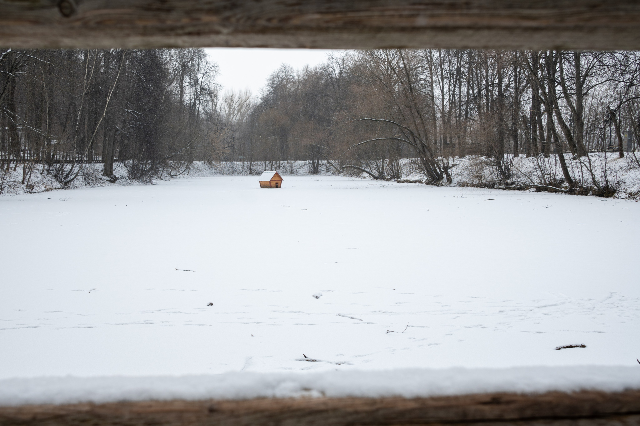 20250216 Нескучный сад. Дмитрий Ремизов. Фотография, как хобби