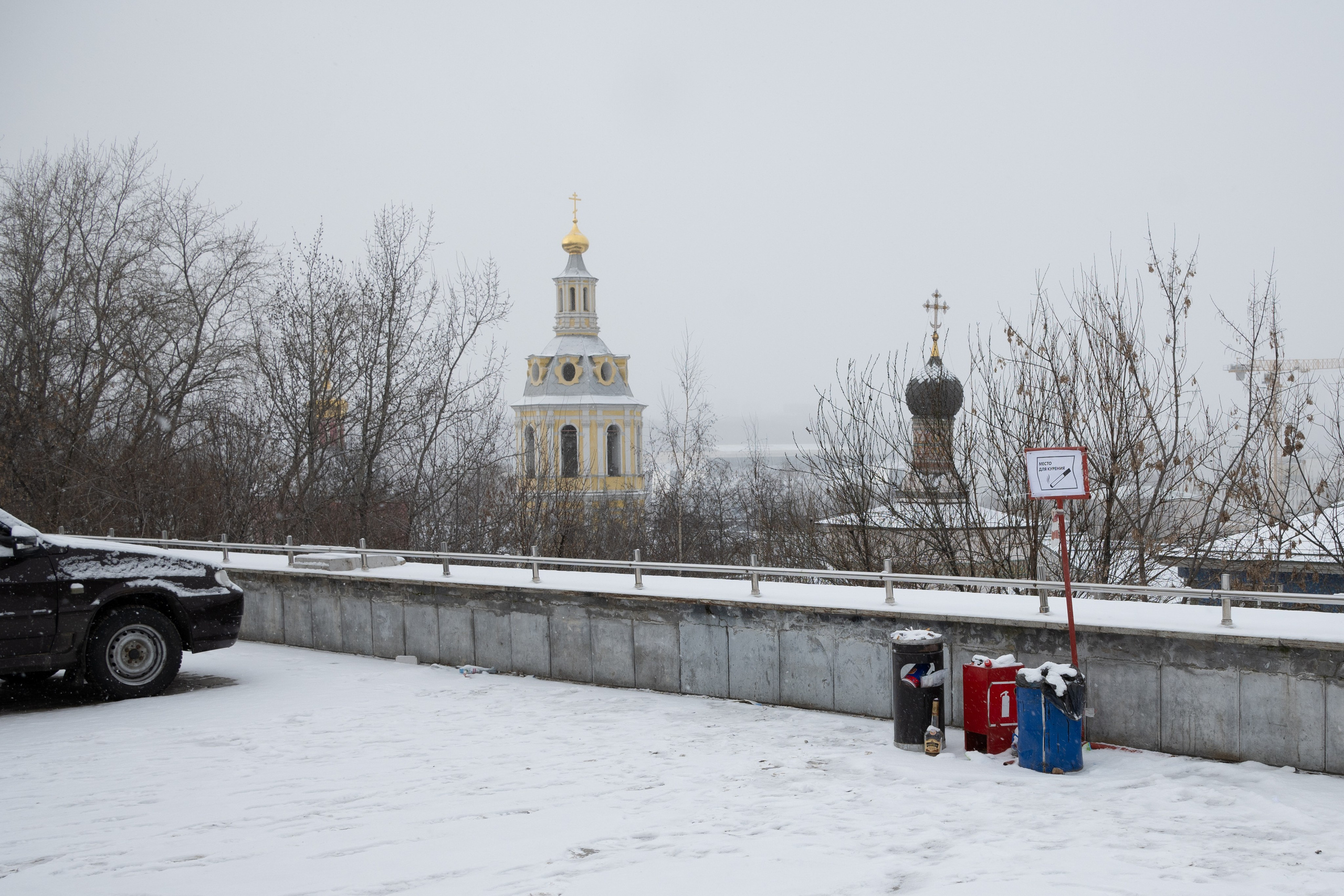 20250216 Нескучный сад. Дмитрий Ремизов. Фотография, как хобби