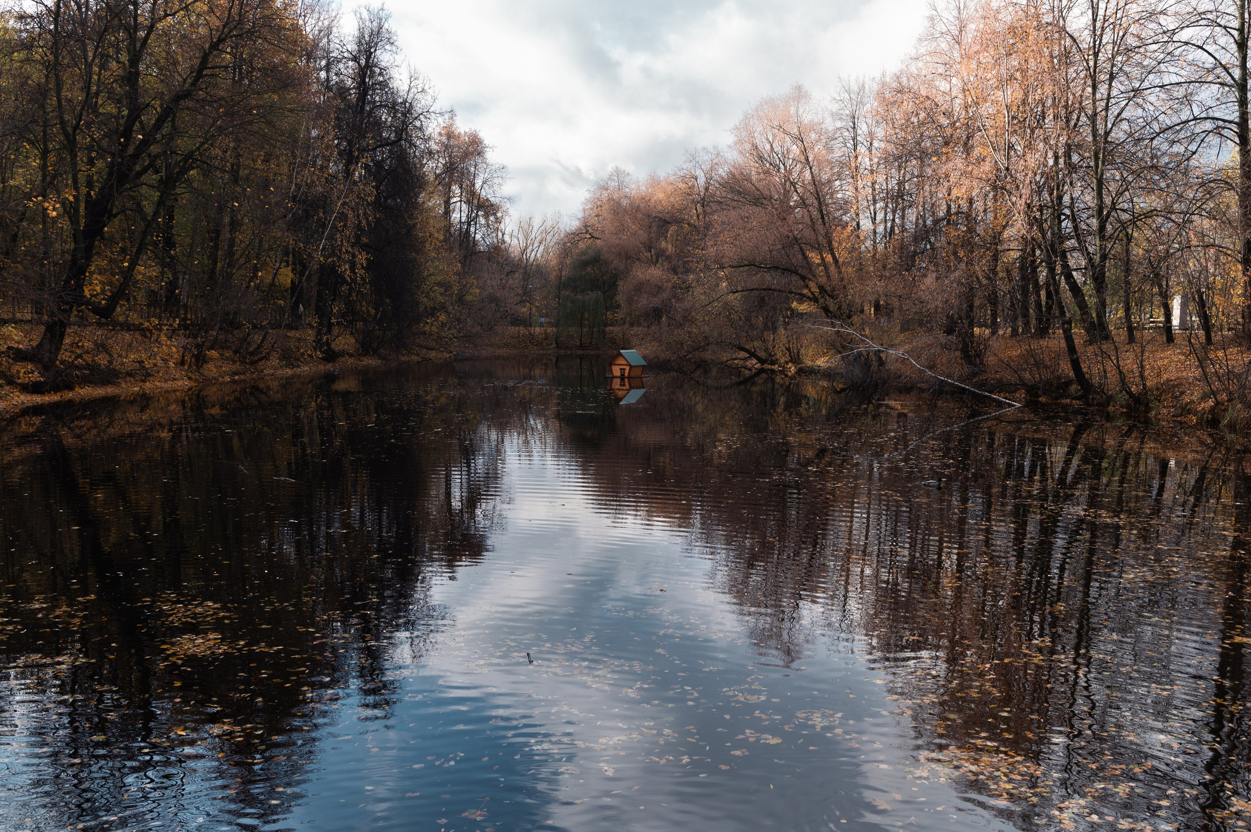 20231031 Нескучный сад. Дмитрий Ремизов. Фотография, как хобби