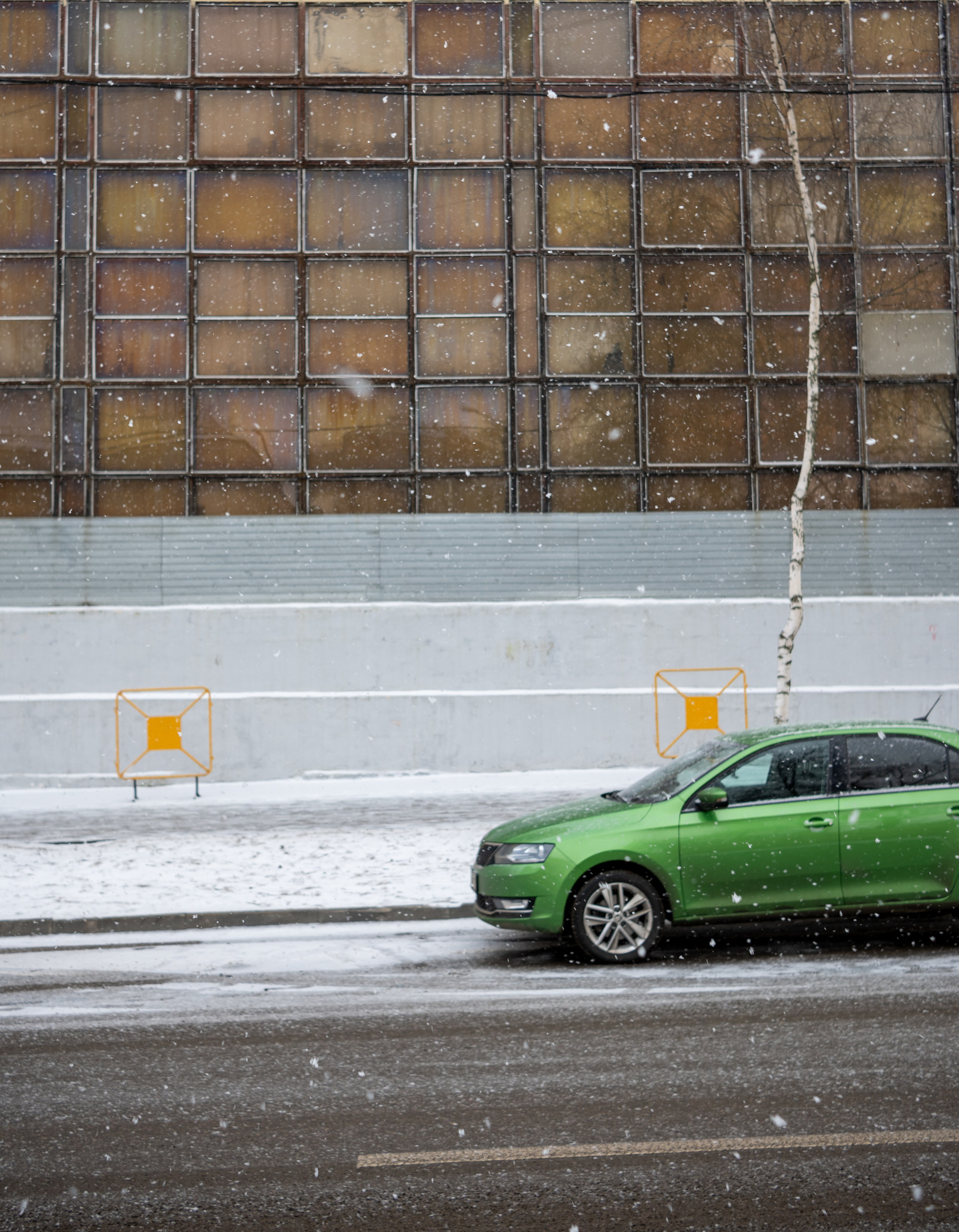 20250216 Нескучный сад. Дмитрий Ремизов. Фотография, как хобби