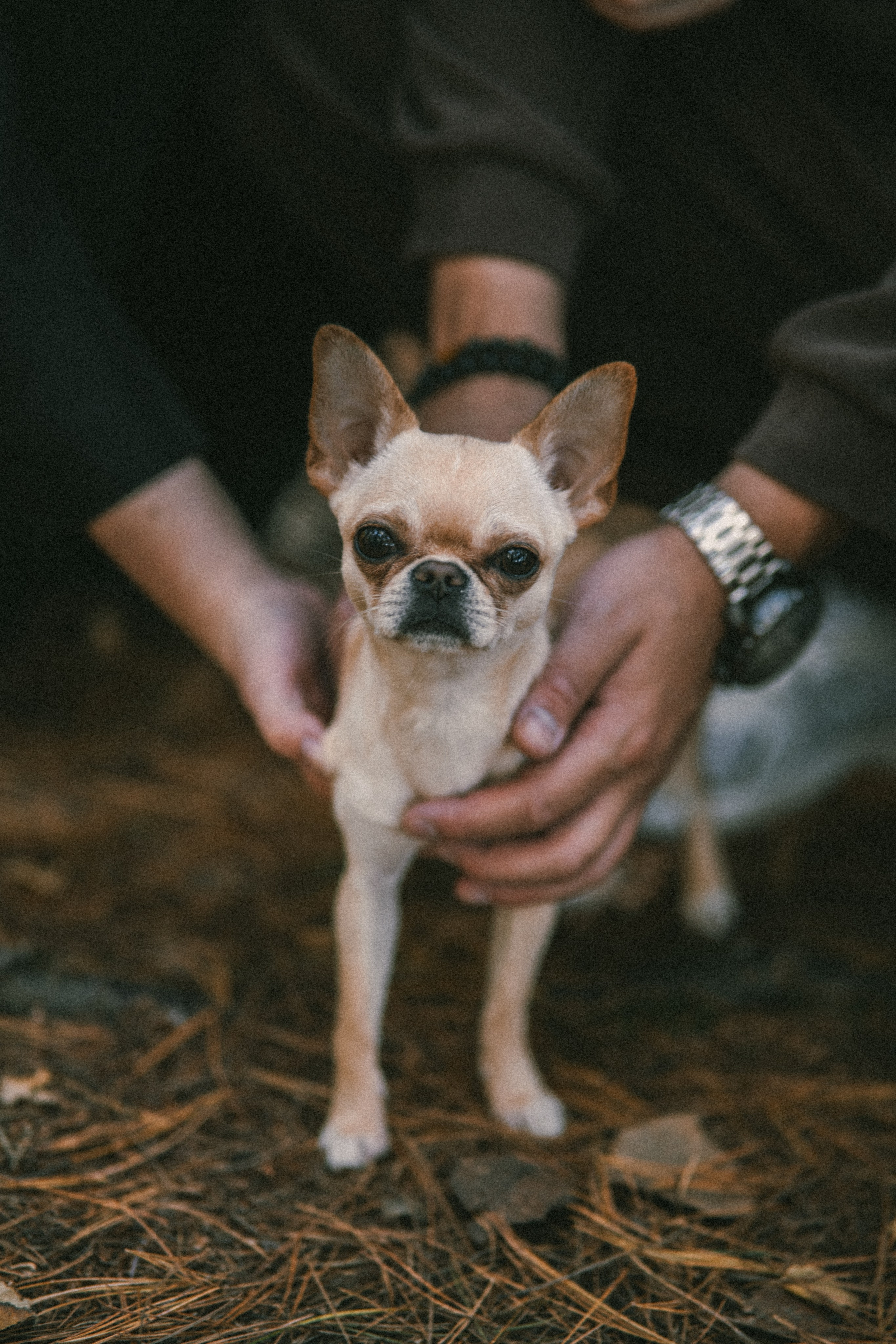Бари и его люди. Фотограф в Хабаровске — Виолетта Агафонова