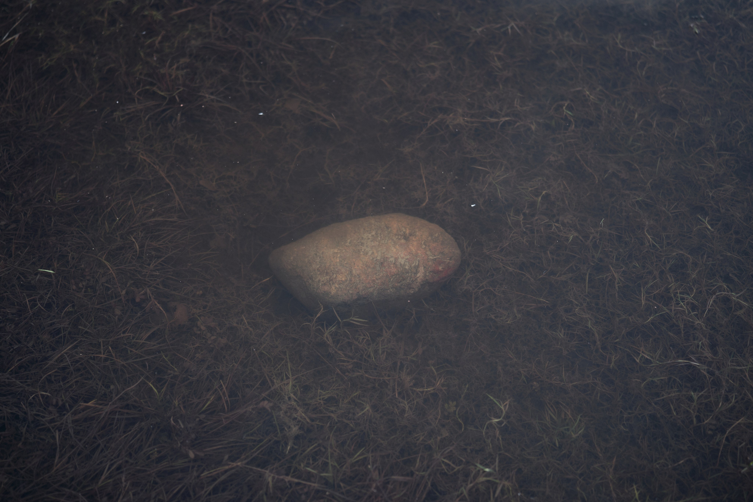 Городской пейзаж — deadpan | Филипп Линзин. Репортажный и портретный фотограф в Санкт-Петербурге Филипп Линзин