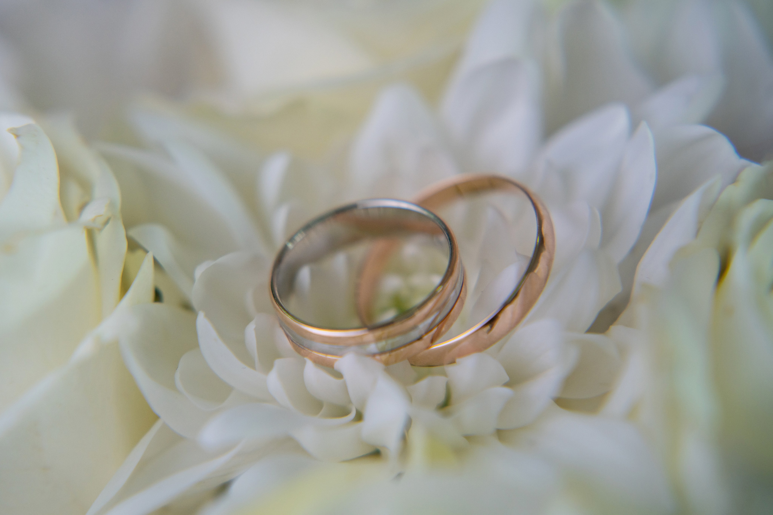 Свадебные фотосессии (1). Фотограф новорожденных Оренбург и свадебный фотограф Оренбург