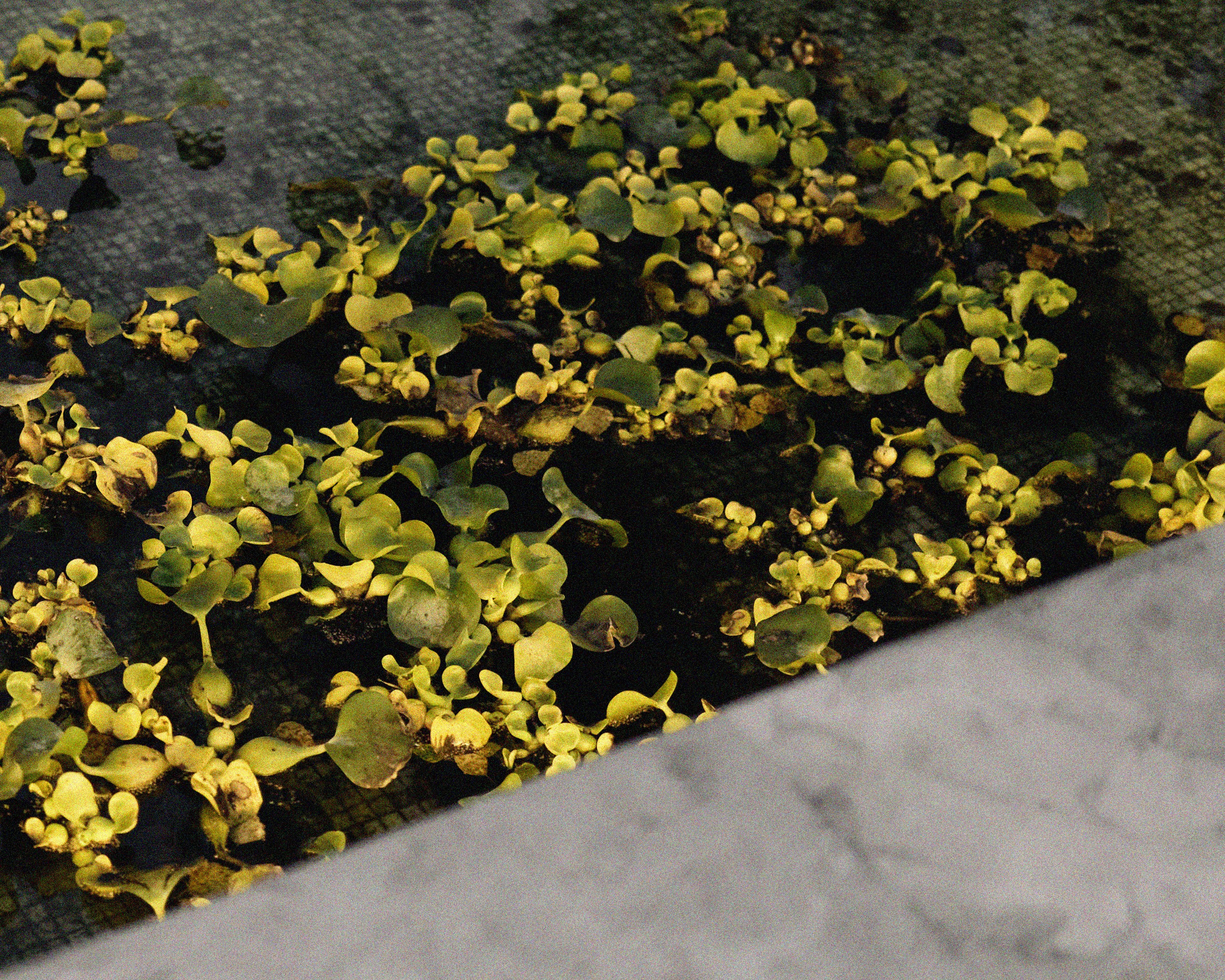 Лена. Фотограф Москва Юлия Казакова